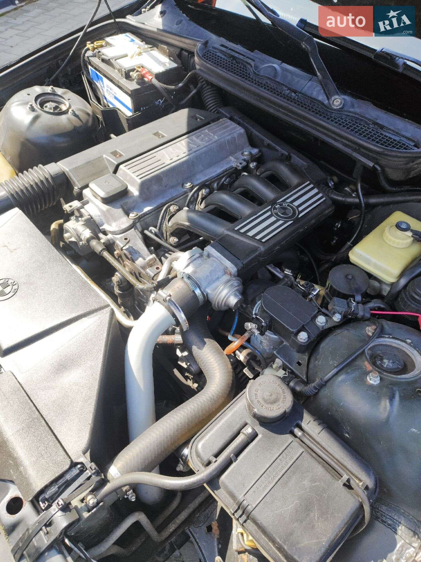 BMW 3 Series 1996 VIN WBACC51090CG74596 фото оголошення 15 з 22