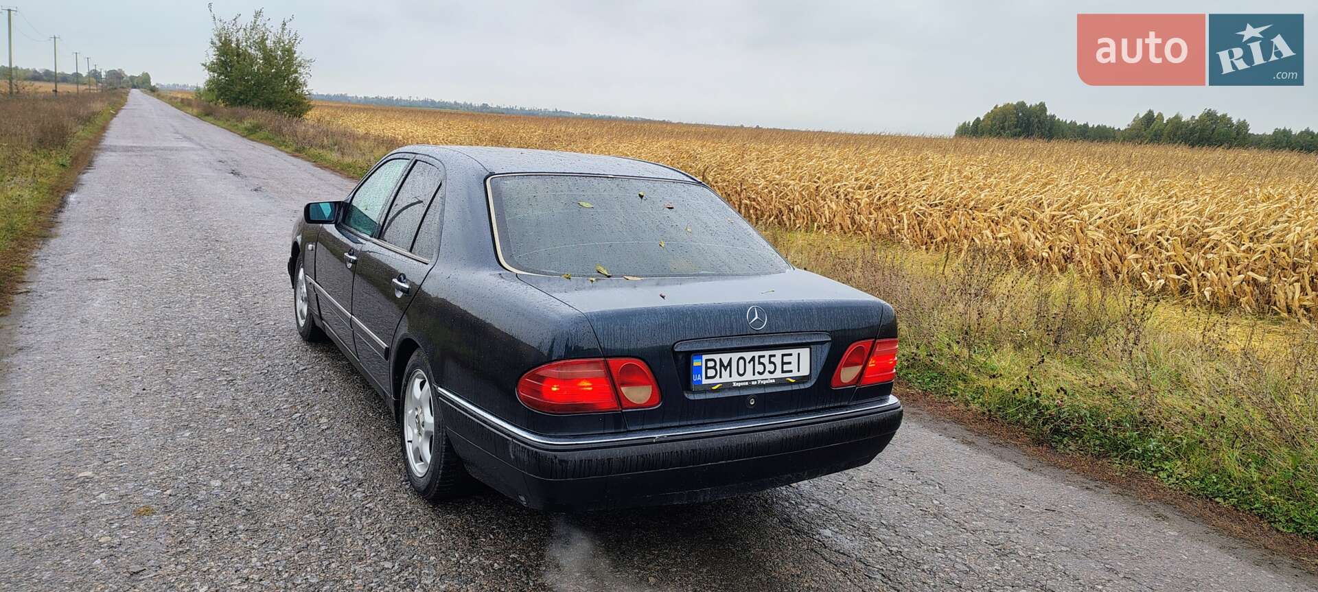 Mercedes-Benz E-Class 1996 VIN WDB2100351A134256 фото оголошення 6 з 14