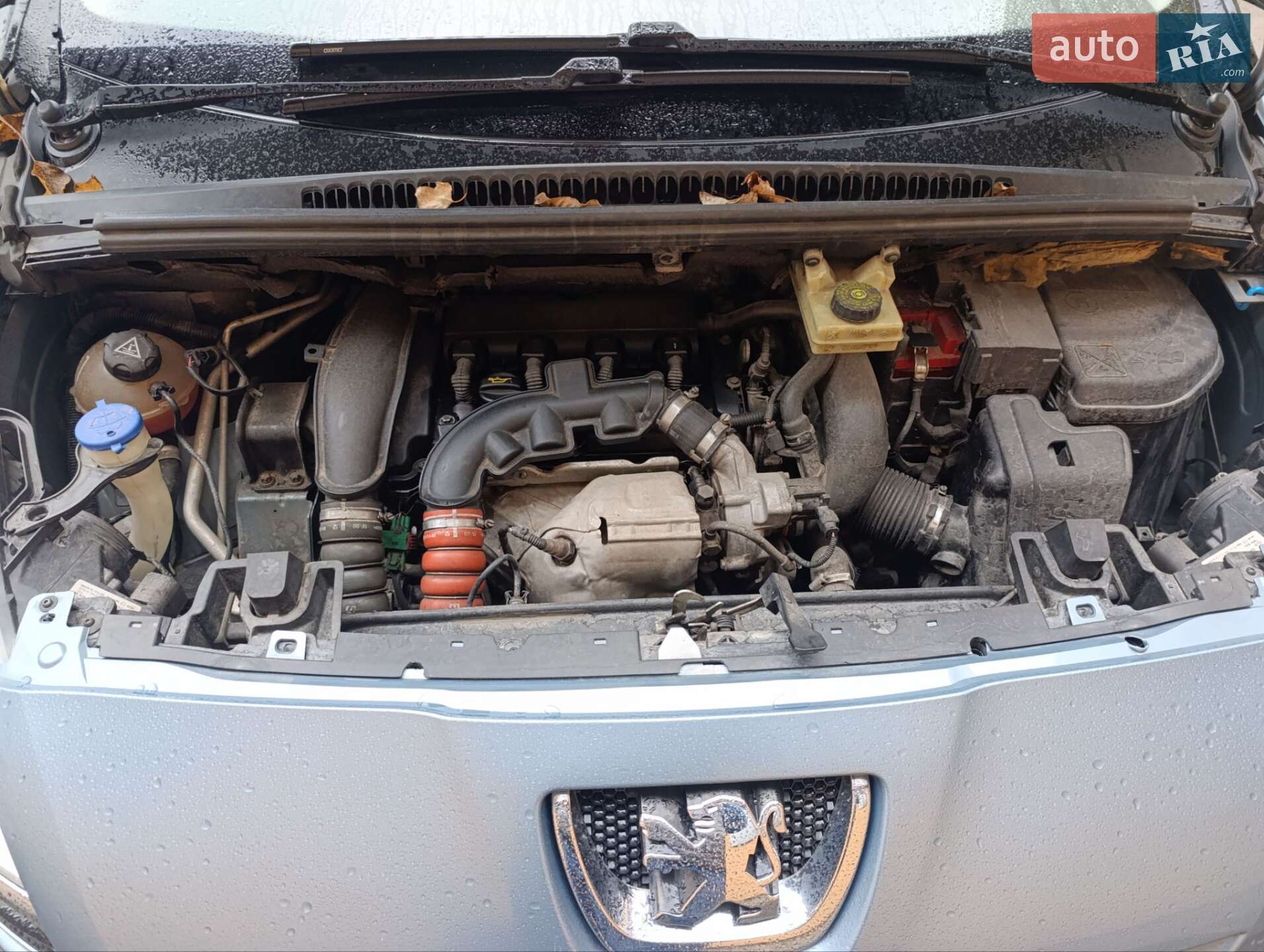 Peugeot 5008 2010 VIN VF30A5FV8AS071086 фото оголошення 19 з 25