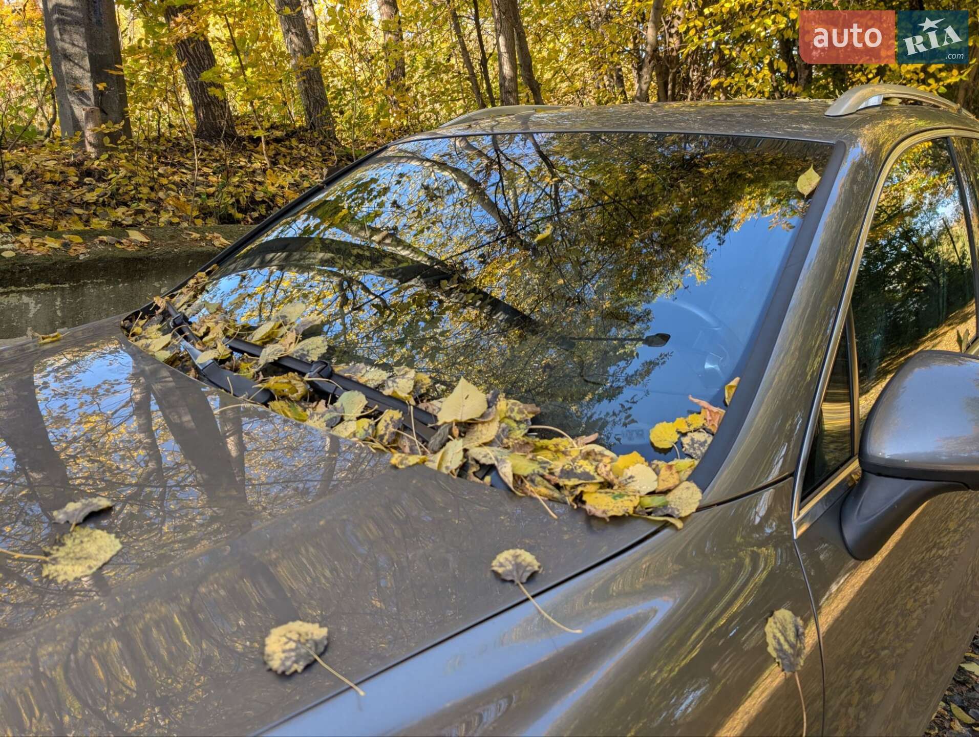 Porsche Cayenne 2010 VIN WP1ZZZ92ZBLA40414 фото оголошення 25 з 27