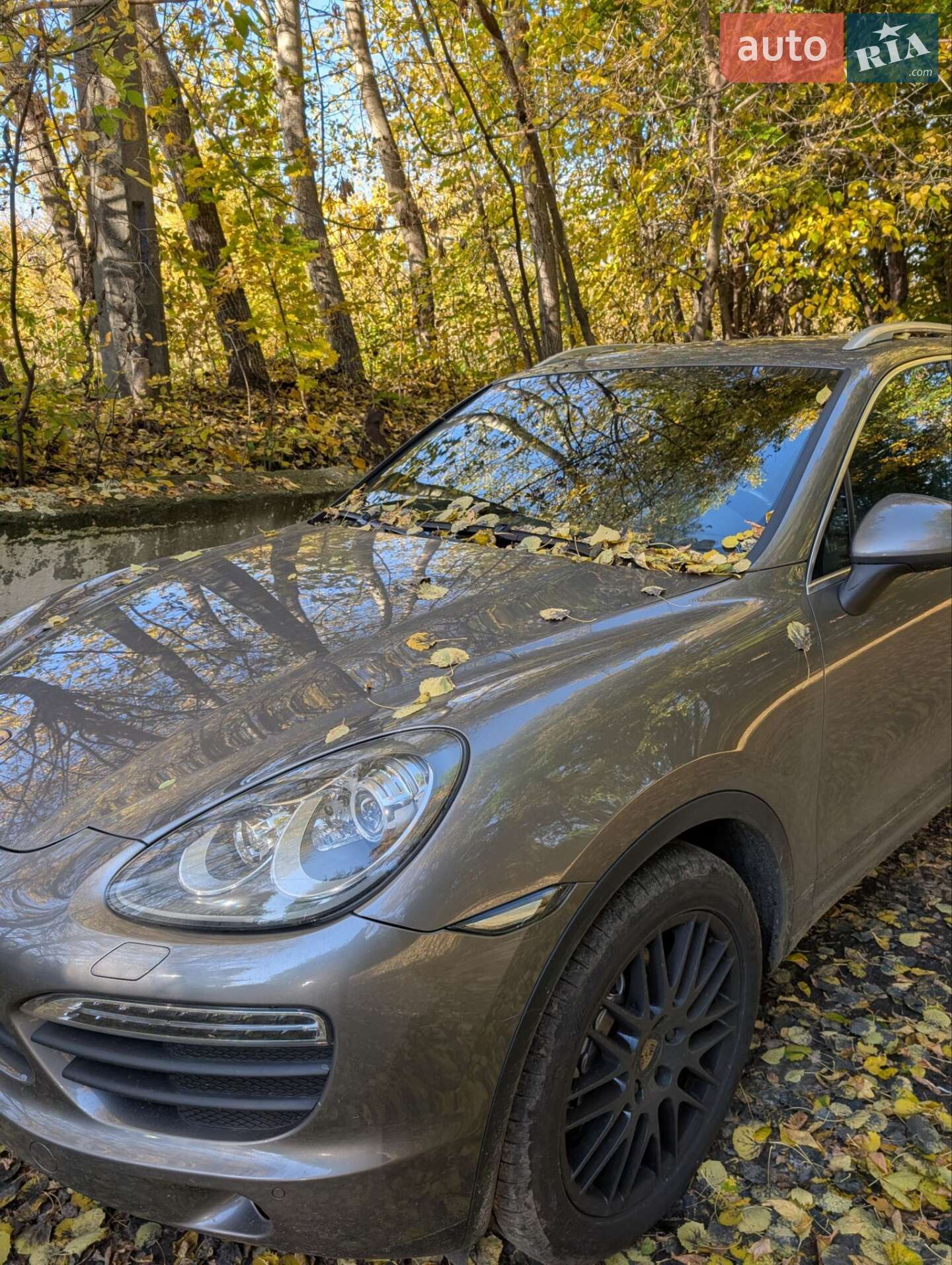 Porsche Cayenne 2010 VIN WP1ZZZ92ZBLA40414 фото оголошення 26 з 27