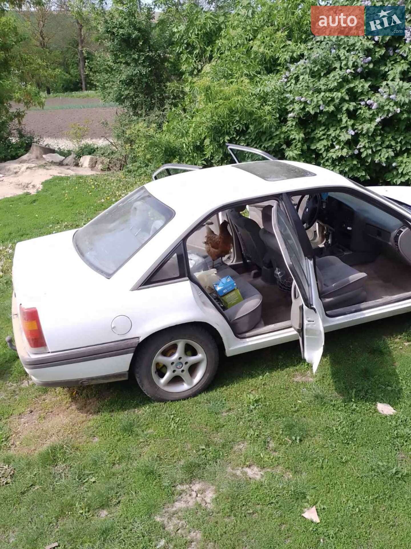 Opel Omega 1988 VIN W0L000016J1072814 фото оголошення 4 з 5