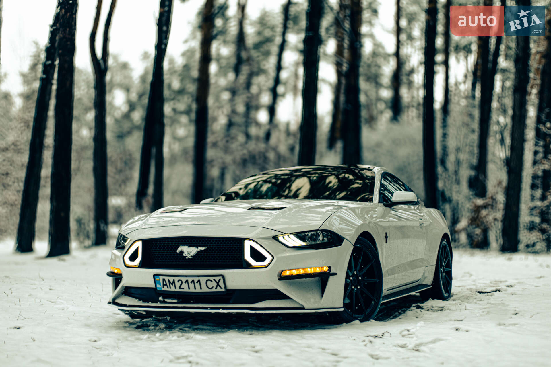 Ford Mustang 2020 VIN 1FA6P8TH0L5173374 фото оголошення 11 з 20