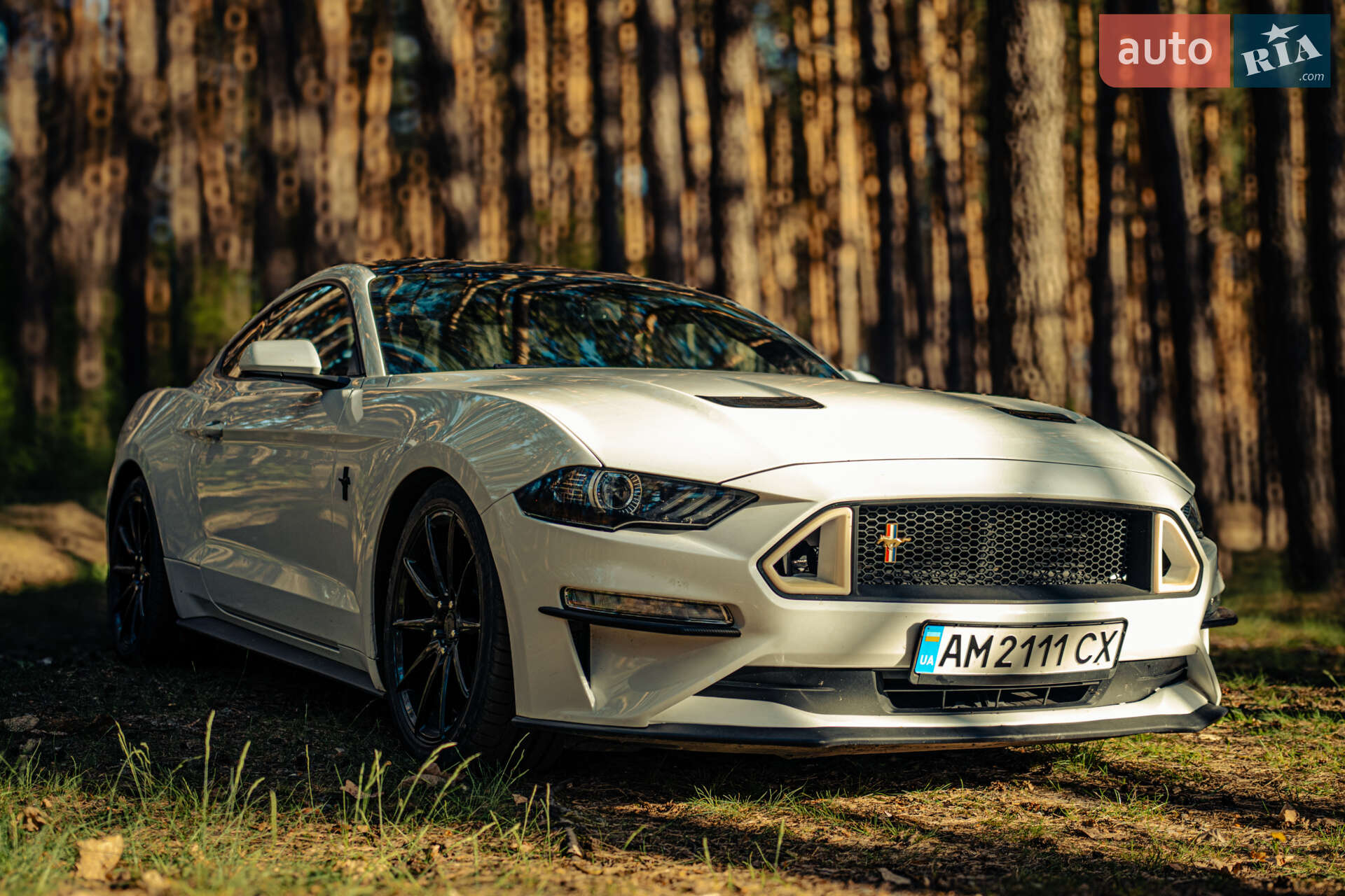 Ford Mustang 2020 VIN 1FA6P8TH0L5173374 фото оголошення 19 з 20