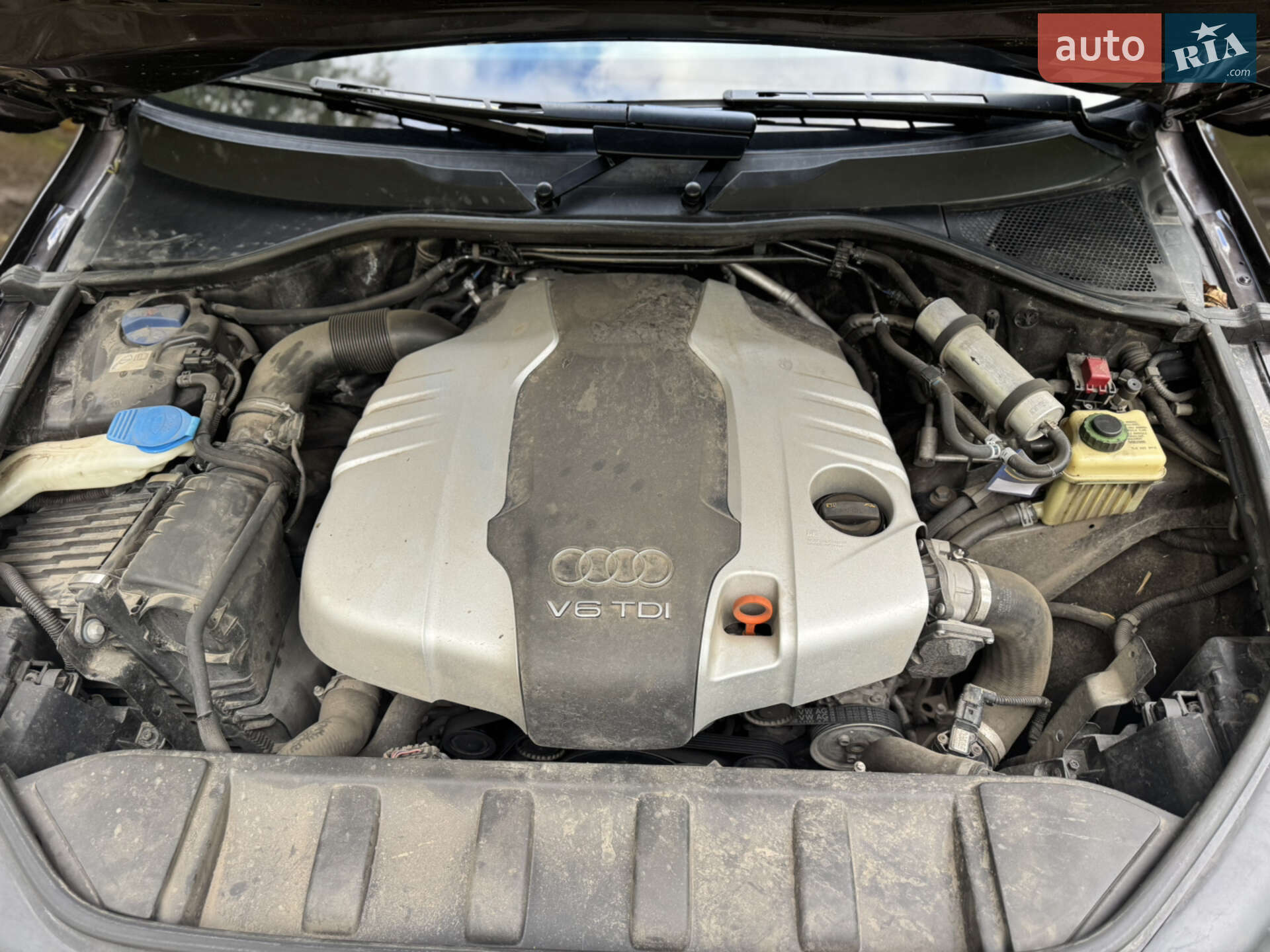 Audi Q7 2011 VIN WAUZZZ4L6BD040307 фото оголошення 53 з 53