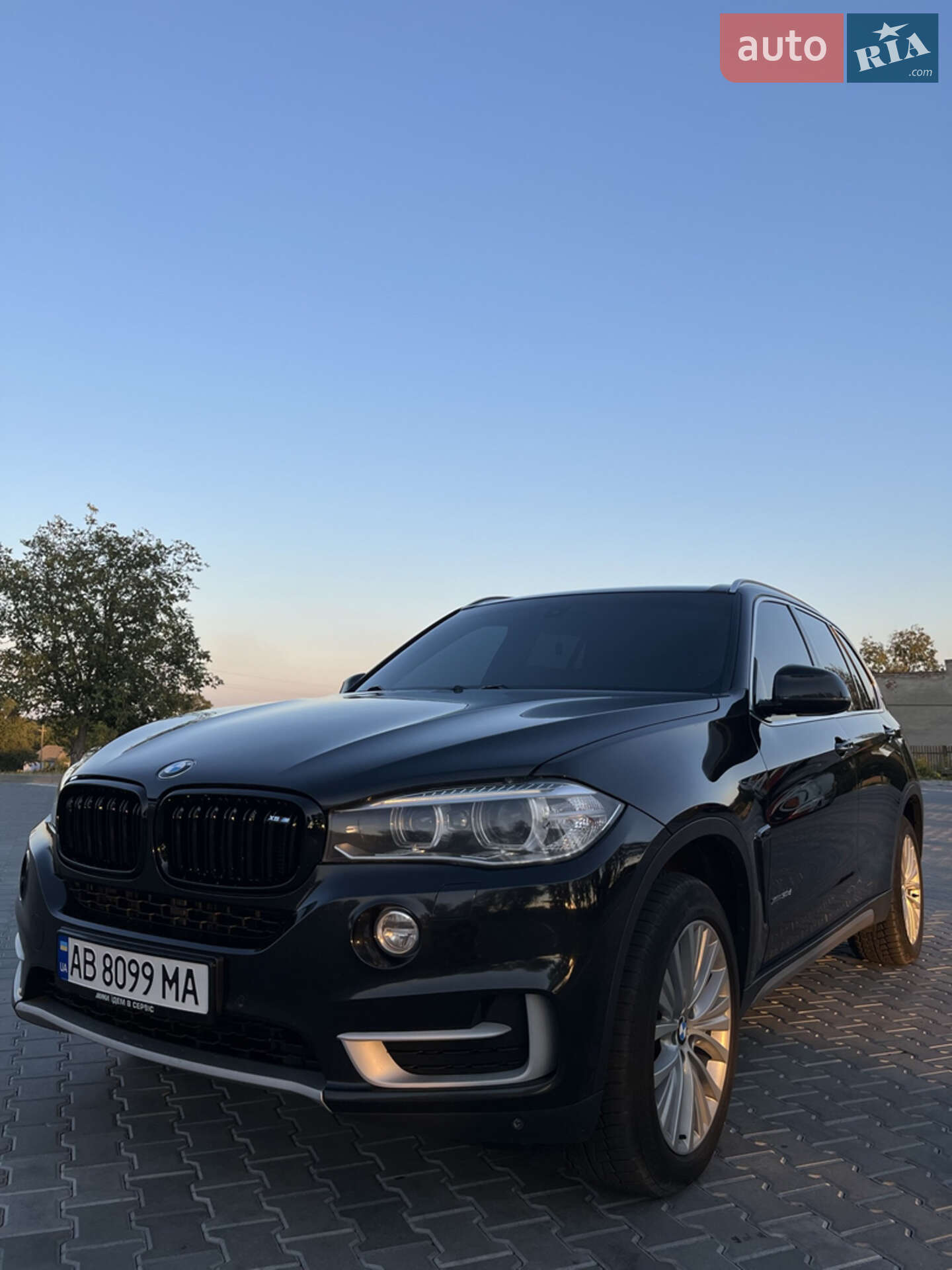 BMW X5 2013 VIN WBAKS410400C36014 фото оголошення 6 з 27