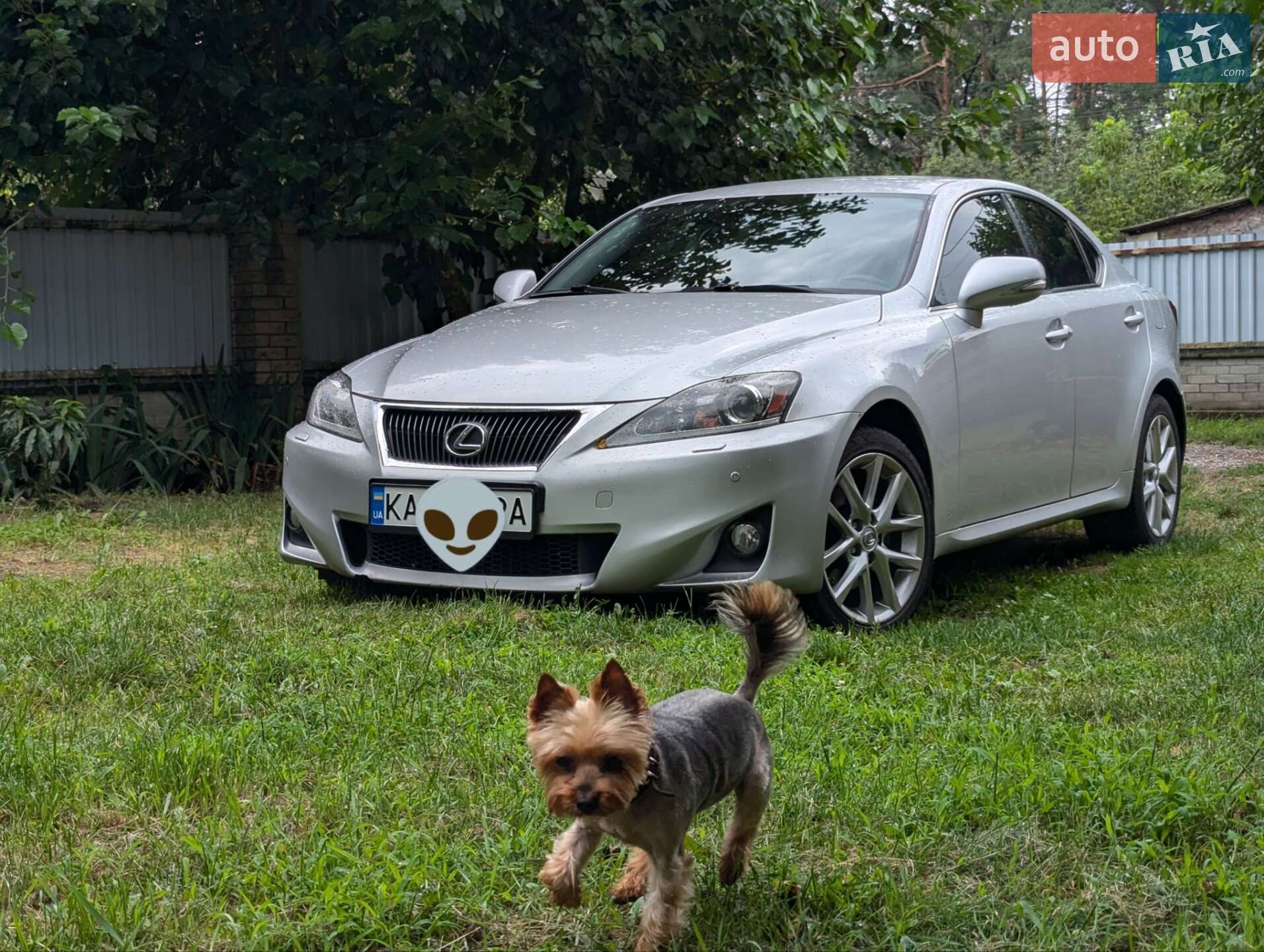 Lexus IS 2011 VIN JTHBX262302040293 фото оголошення 5 з 14