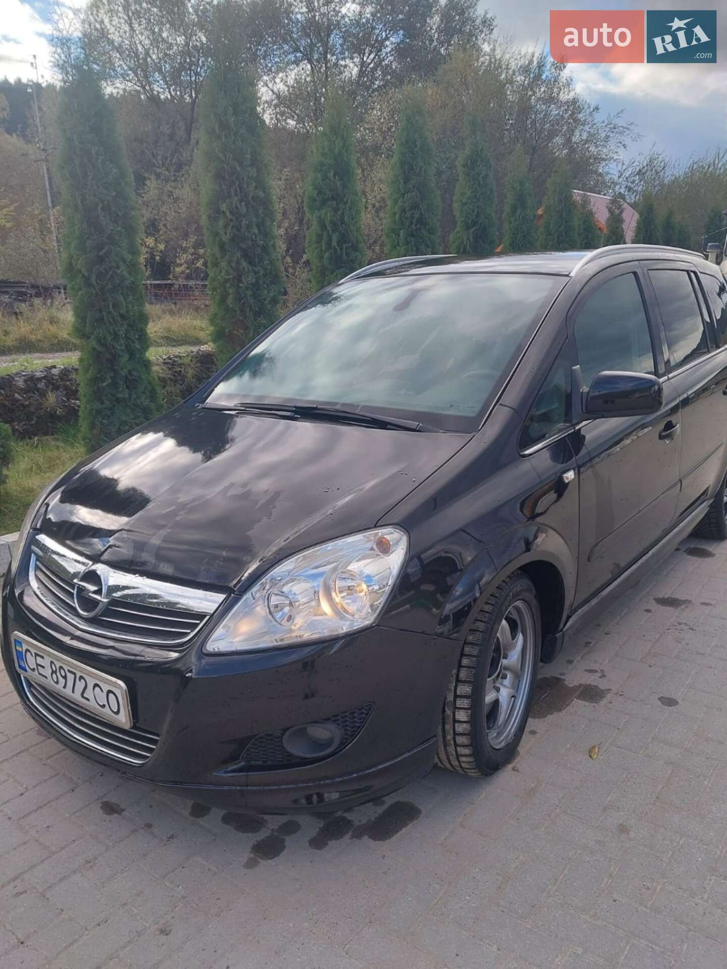 Opel Zafira 2010 VIN W0L0AHM75B2019236 фото оголошення 7 з 16