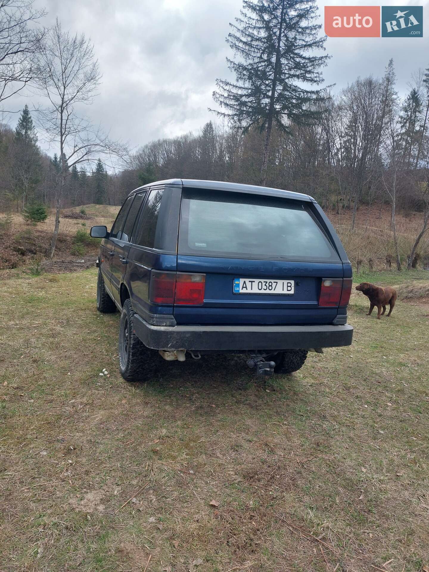 Land Rover Range Rover 1998 VIN SALLPAMW4WA382817 фото оголошення 9 з 12