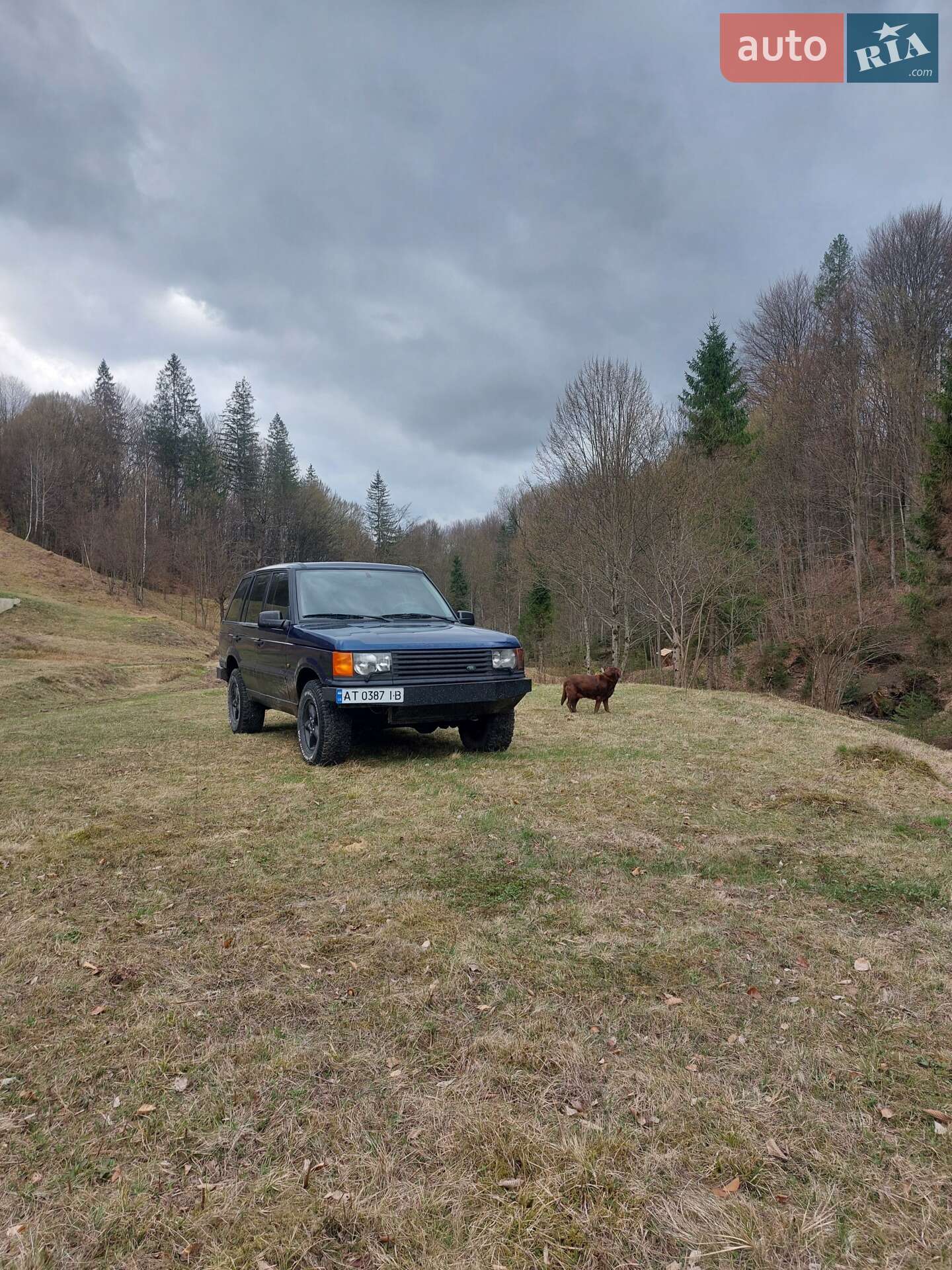 Land Rover Range Rover 1998 VIN SALLPAMW4WA382817 фото оголошення 12 з 12