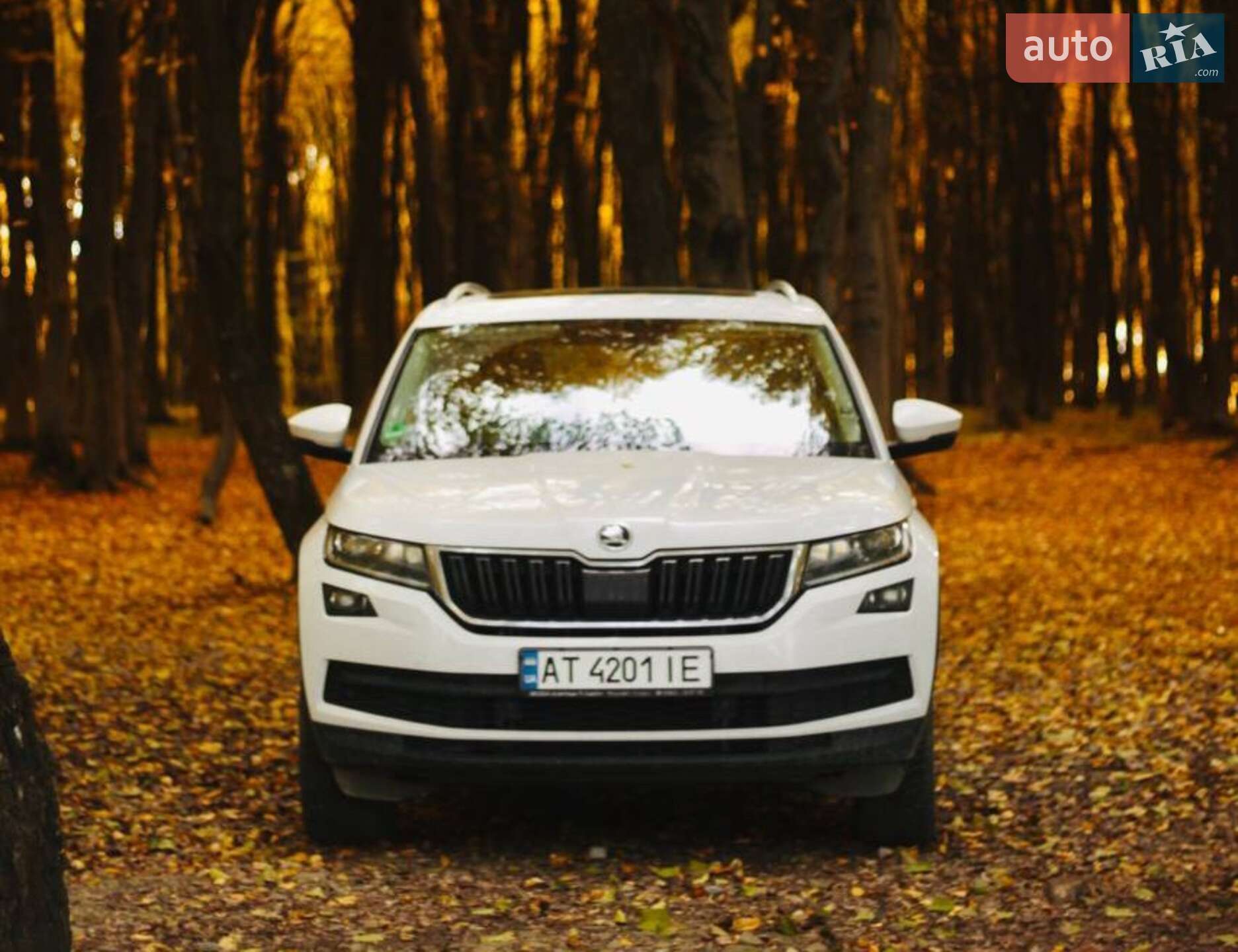 Skoda Kodiaq 2019 VIN TMBLK9NS2L8503167 фото оголошення 2 з 22