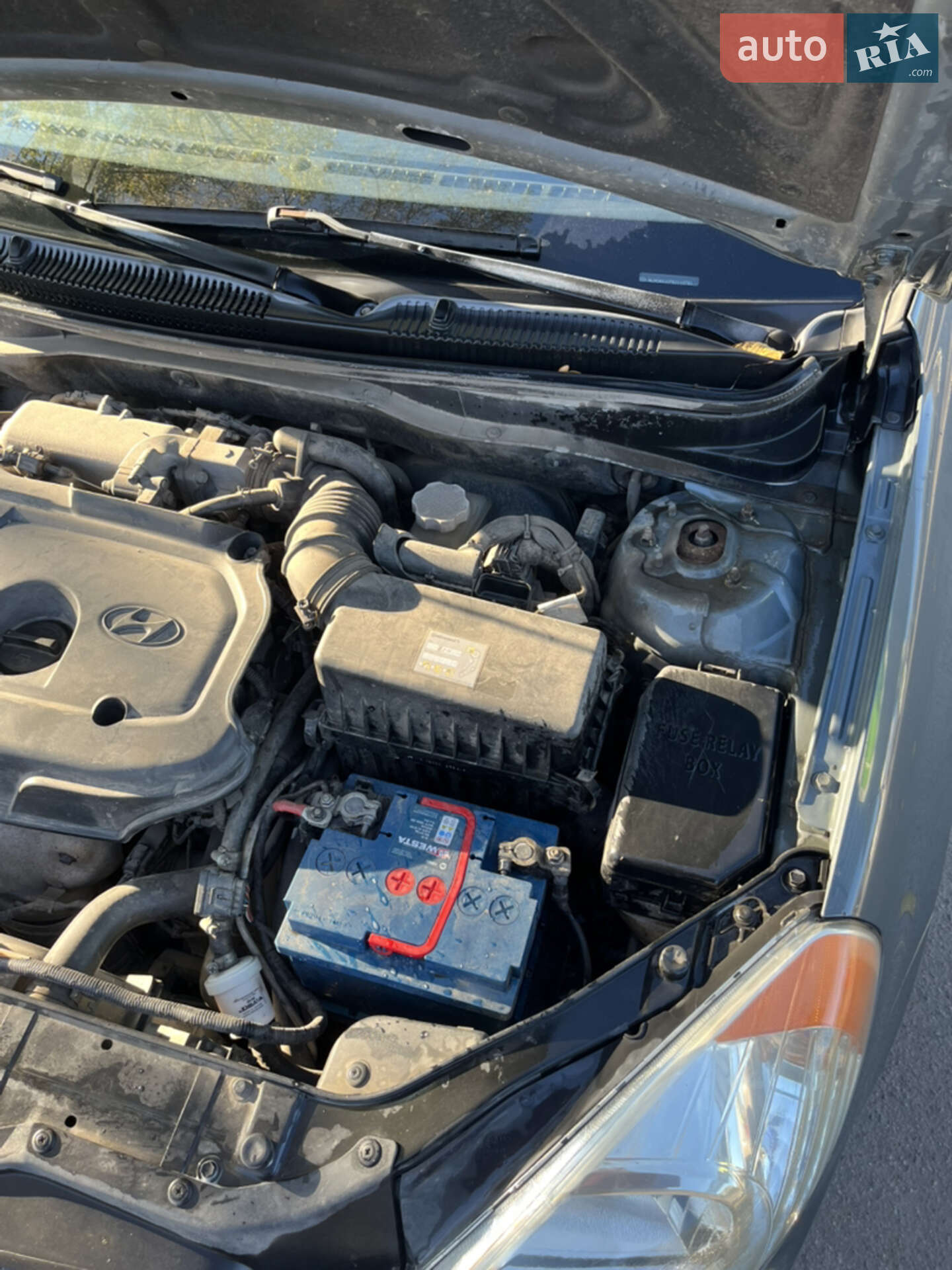 Hyundai Accent 2008 VIN Y6LCN41CP8L203404 фото оголошення 19 з 20