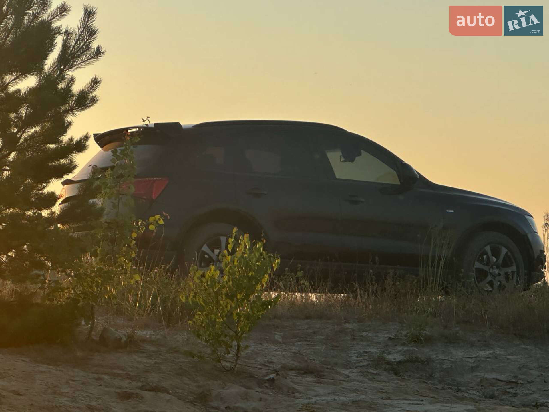 Audi Q5 2011 VIN WAUZZZ8R6CA003579 фото оголошення 26 з 32