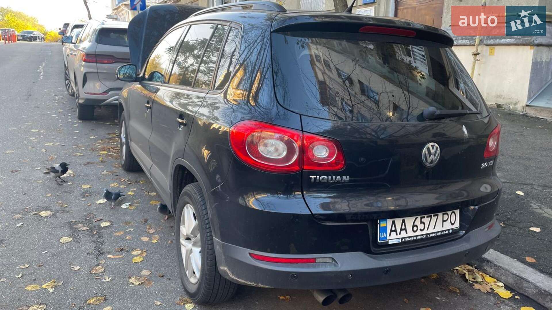 Volkswagen Tiguan 2010 VIN WVGZZZ5NZAW103241 фото оголошення 3 з 19