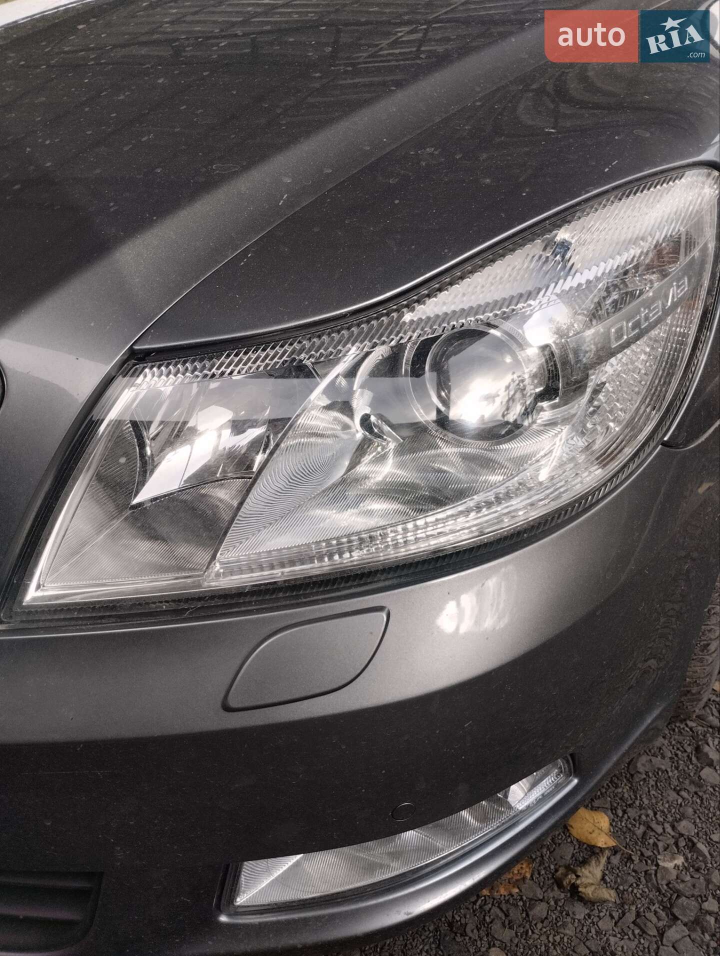 Skoda Octavia 2012 VIN TMBGK61Z0C2140700 фото оголошення 9 з 10