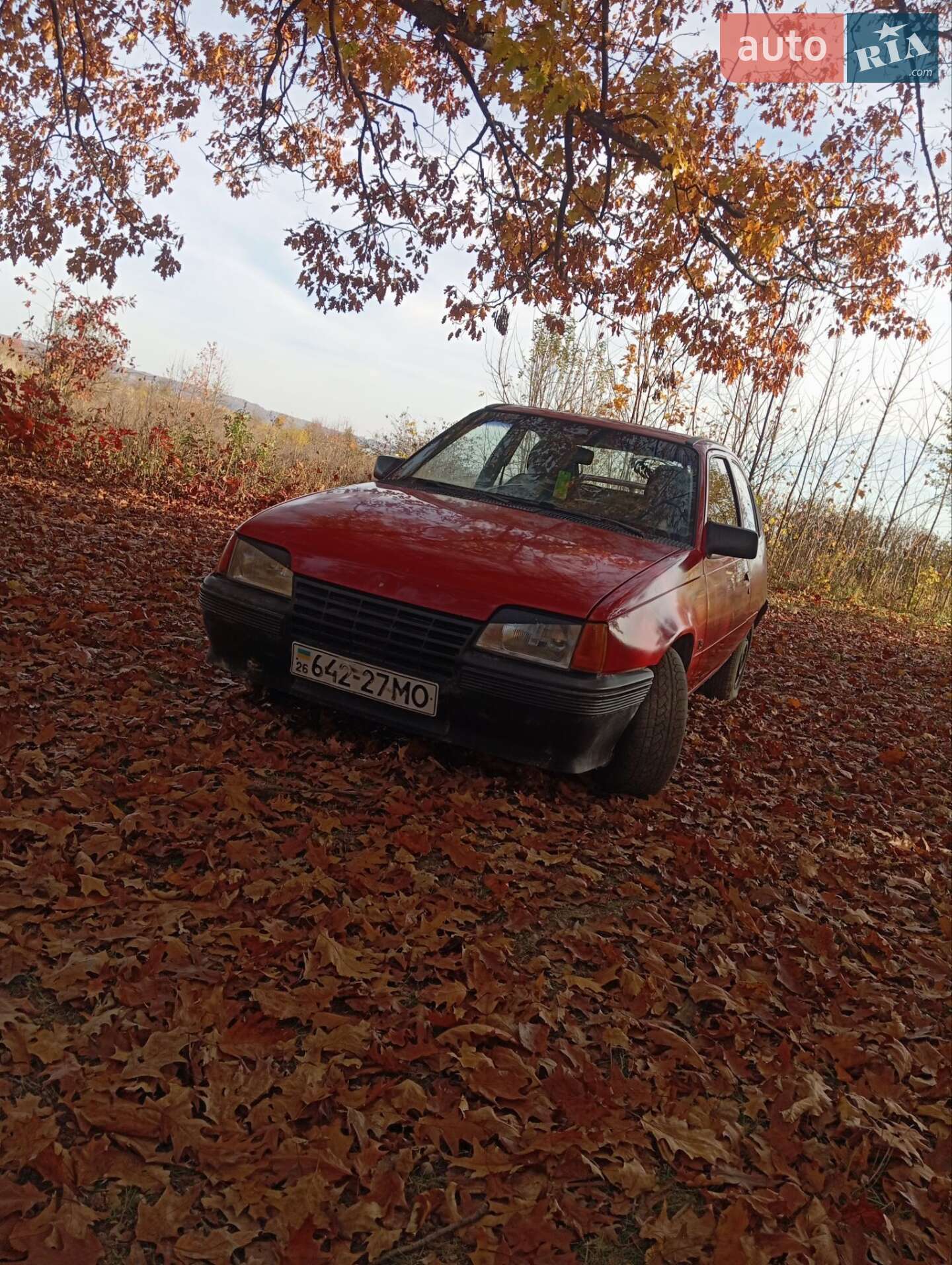 Opel Kadett 1986 VIN W0L000033H2544218 фото оголошення 22 з 22