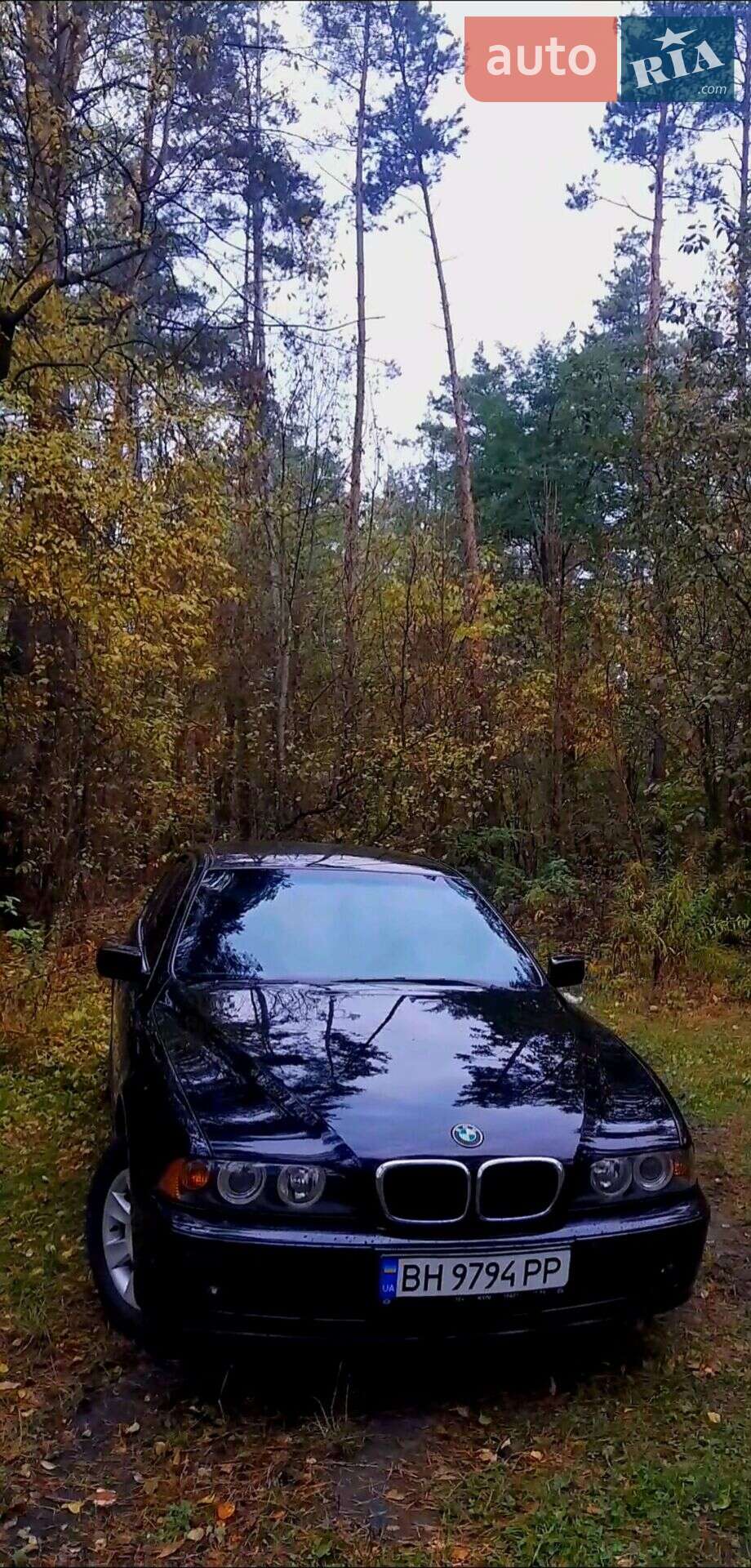 BMW 5 Series 2002 VIN WBADT21060GZ09240 фото оголошення 7 з 52