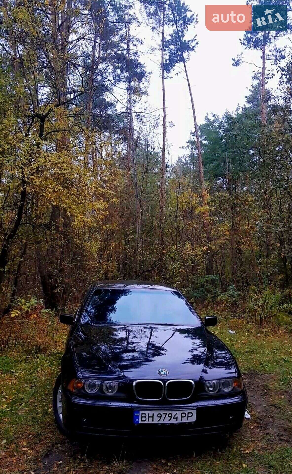 BMW 5 Series 2002 VIN WBADT21060GZ09240 фото оголошення 8 з 52