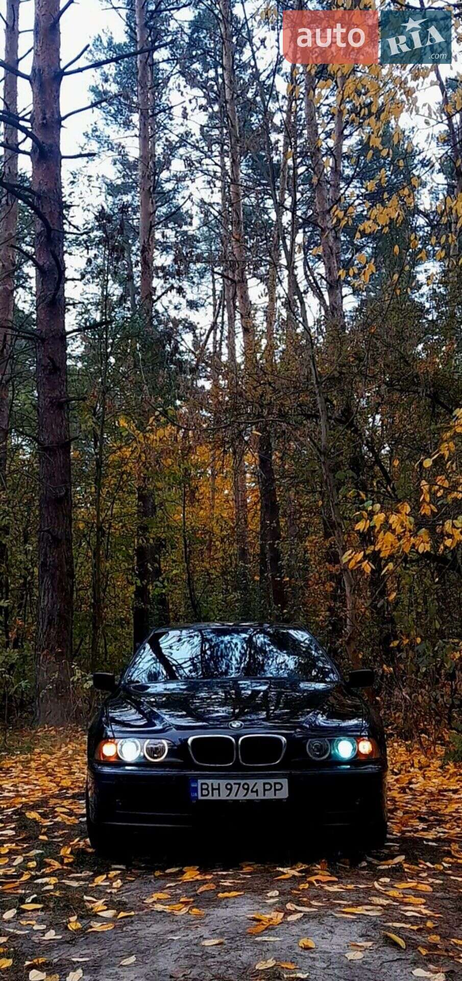 BMW 5 Series 2002 VIN WBADT21060GZ09240 фото оголошення 5 з 52