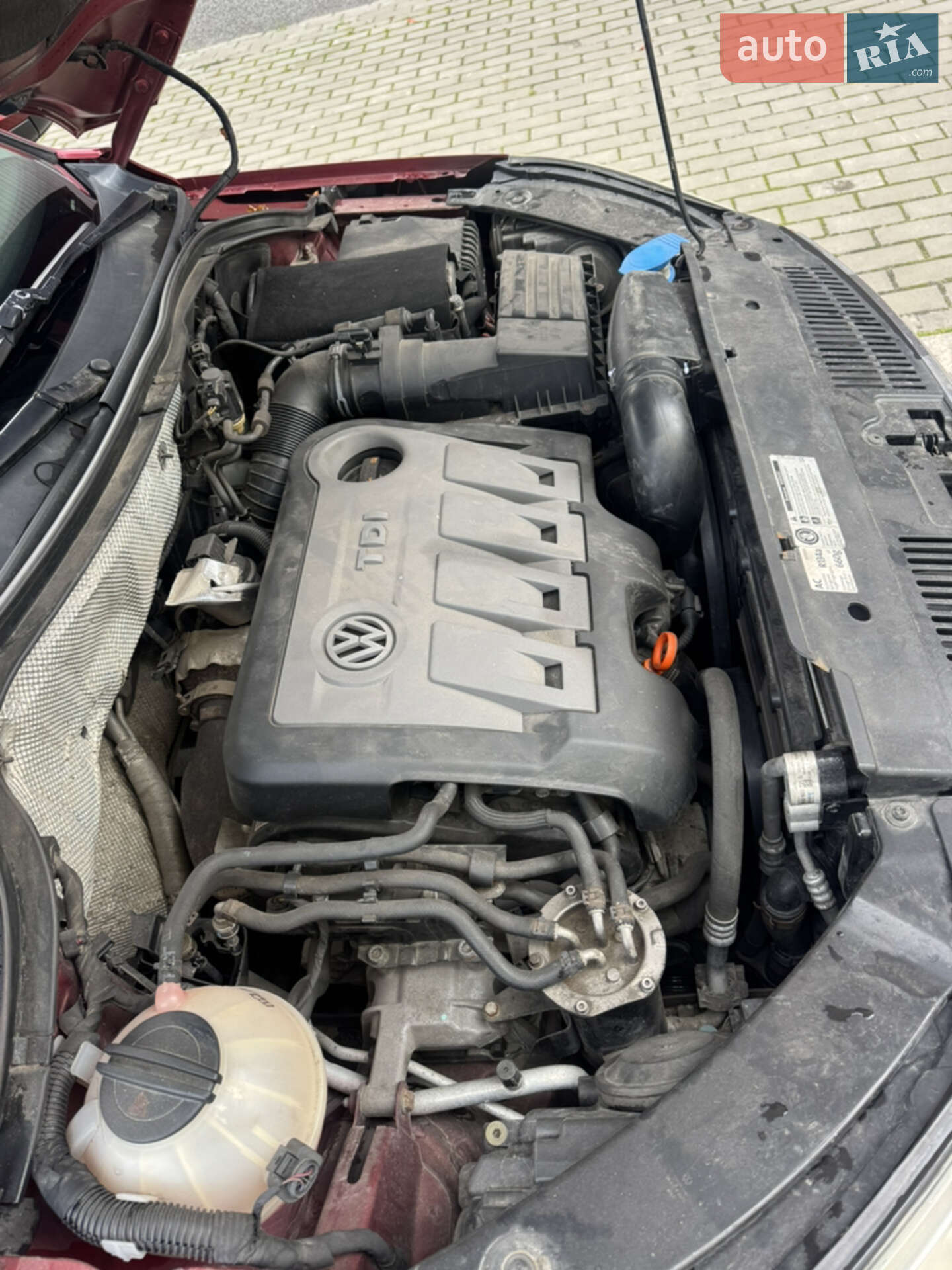 Volkswagen Tiguan 2011 VIN WVGZZZ5NZBW106342 фото оголошення 11 з 18