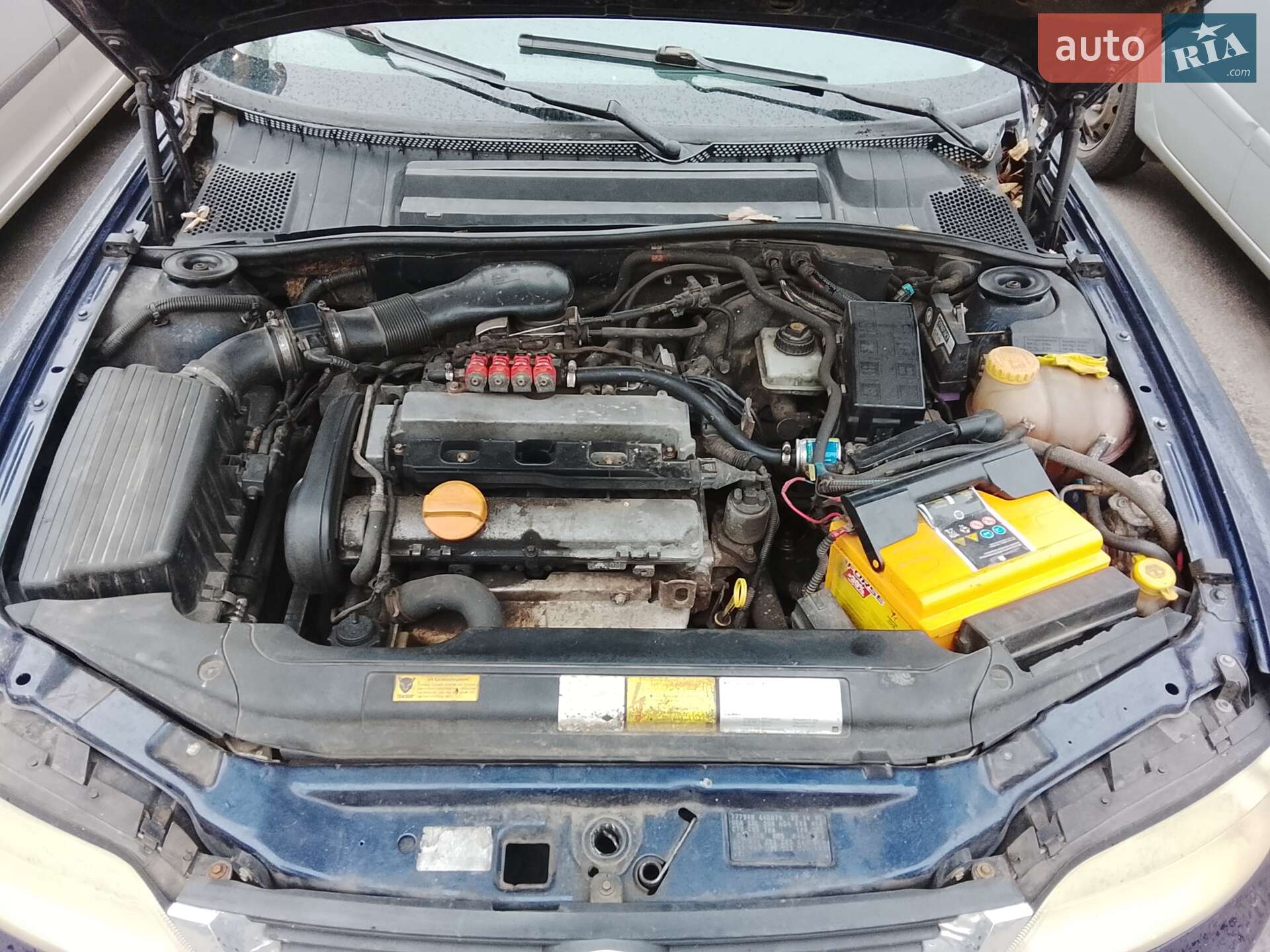 Opel Vectra 1999 VIN W0L0JBF35X7072594 фото оголошення 12 з 12