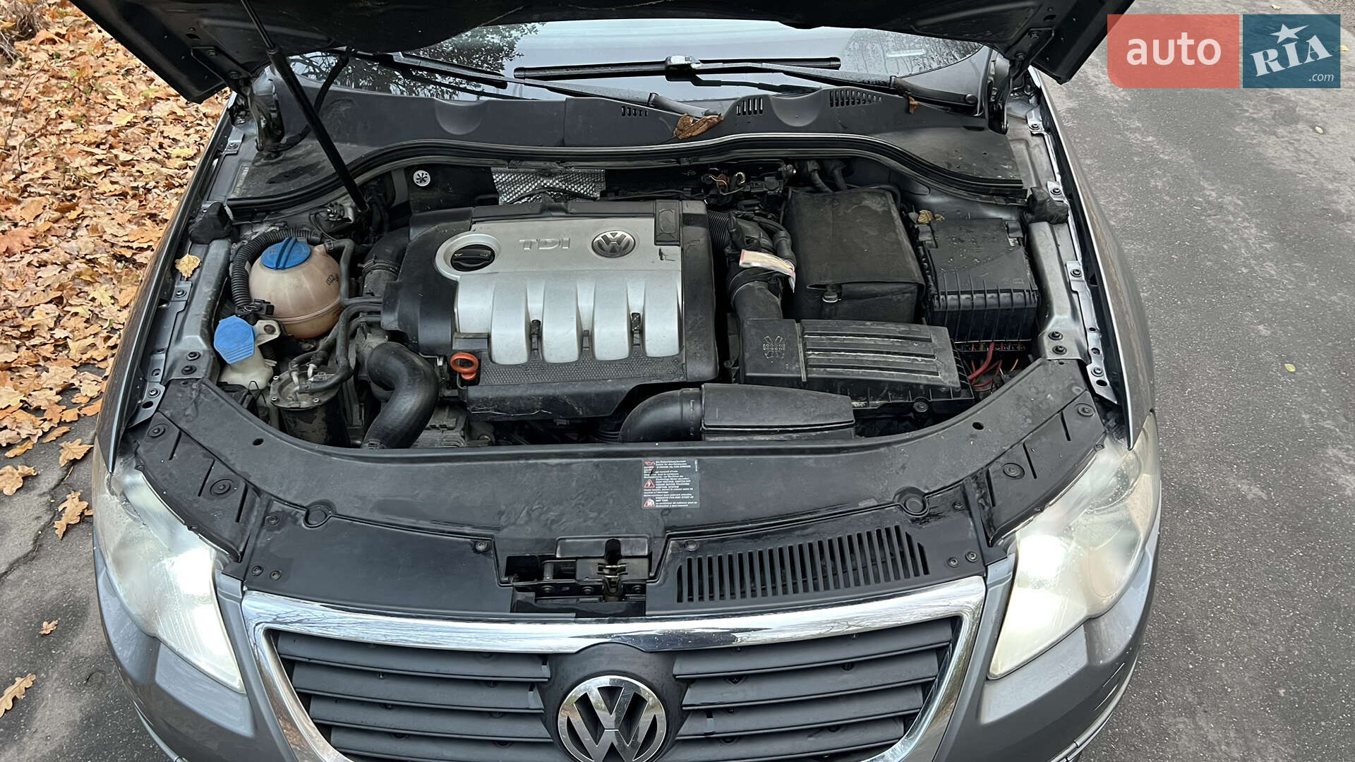 Volkswagen Passat 2007 VIN WVWZZZ3CZ8E097785 фото оголошення 11 з 19
