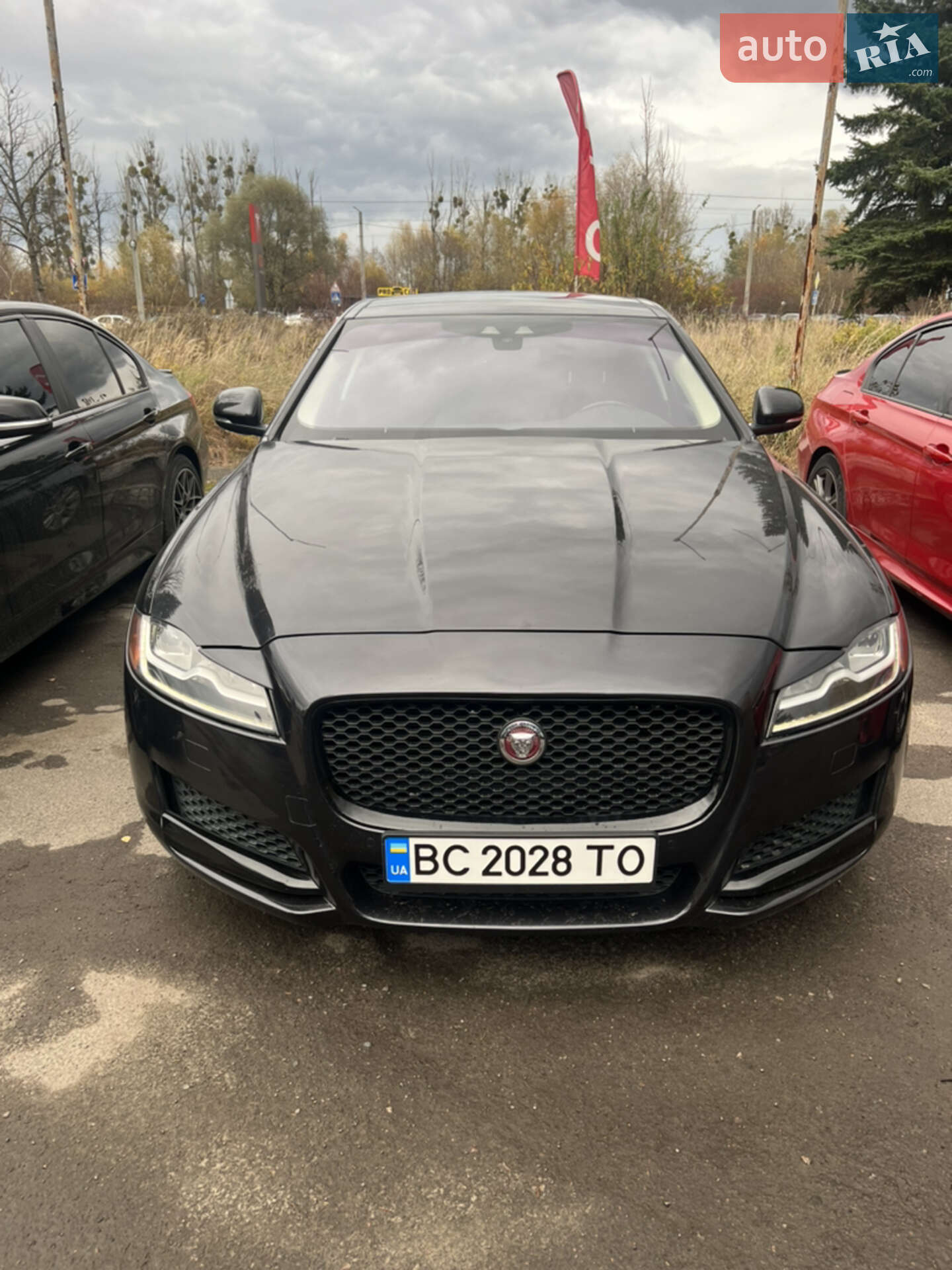 Jaguar XF 2015 VIN SAJBD4BV2GCY08938 фото оголошення 3 з 13