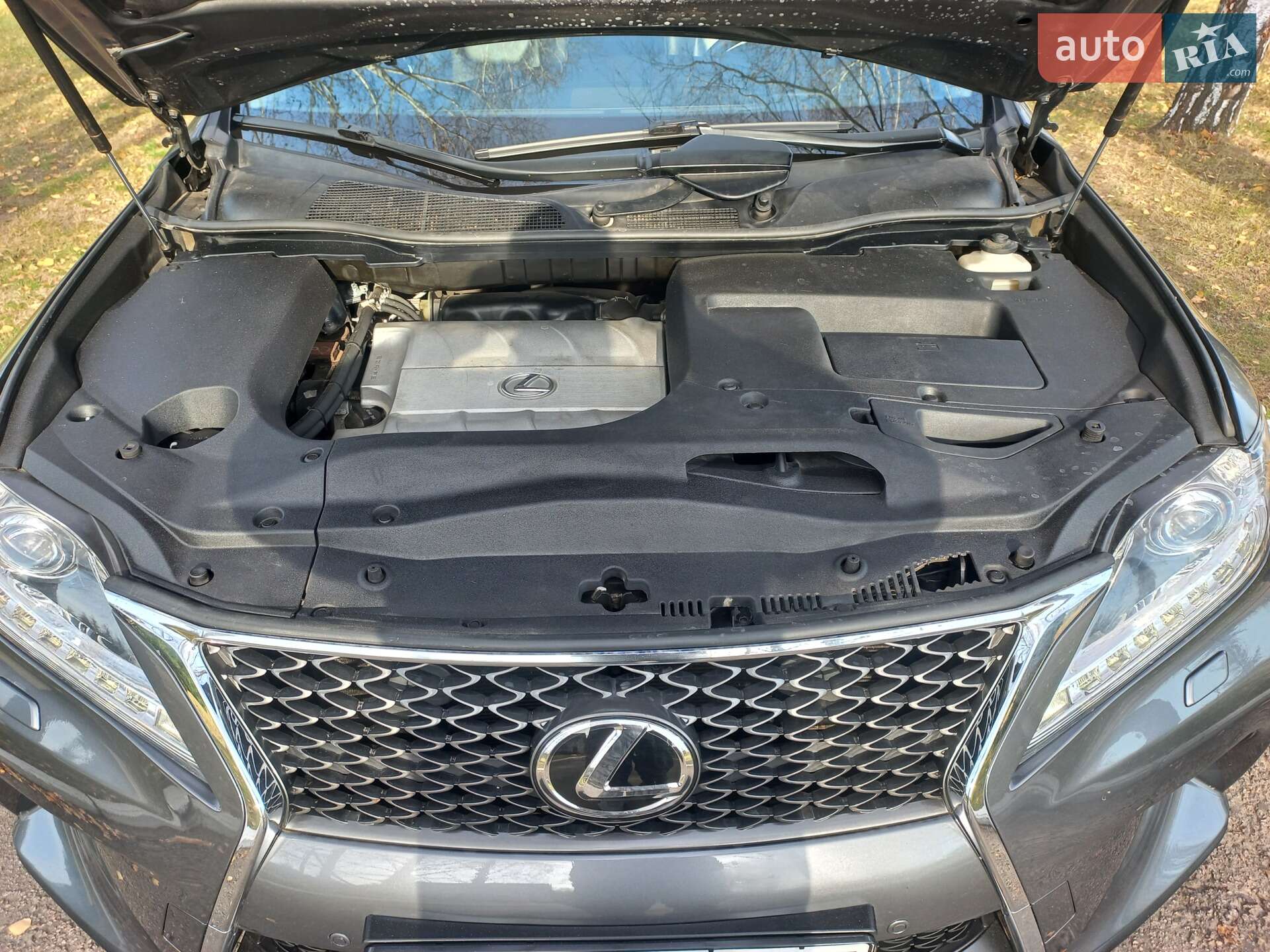 Lexus RX 2014 VIN 2T2BK1BA9FC255612 фото оголошення 28 з 44