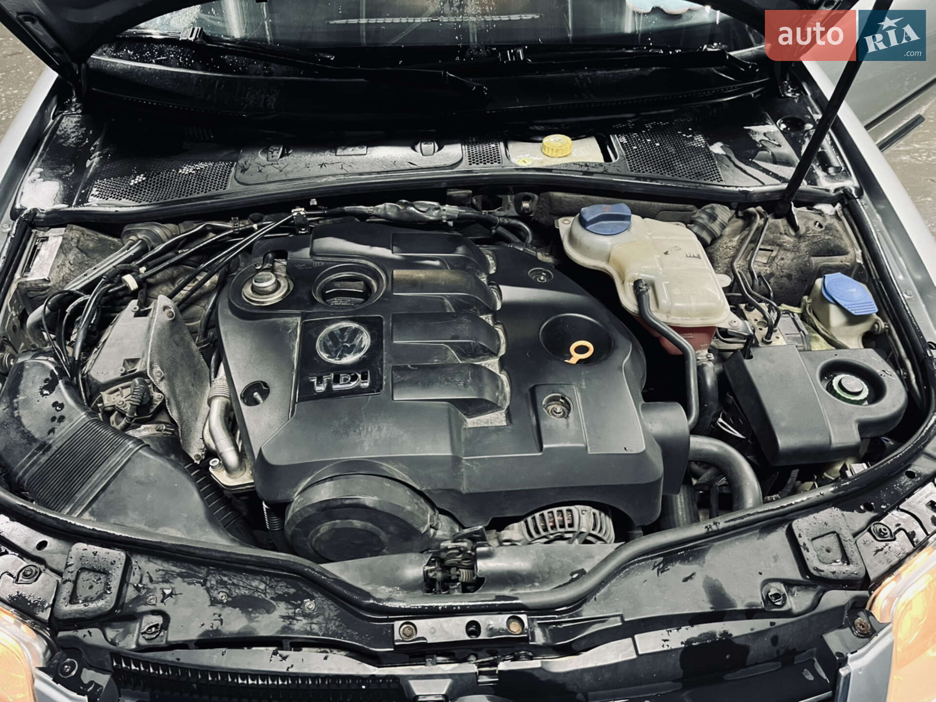 Volkswagen Passat 2002 VIN WVWZZZ3BZ3E079460 фото оголошення 12 з 13