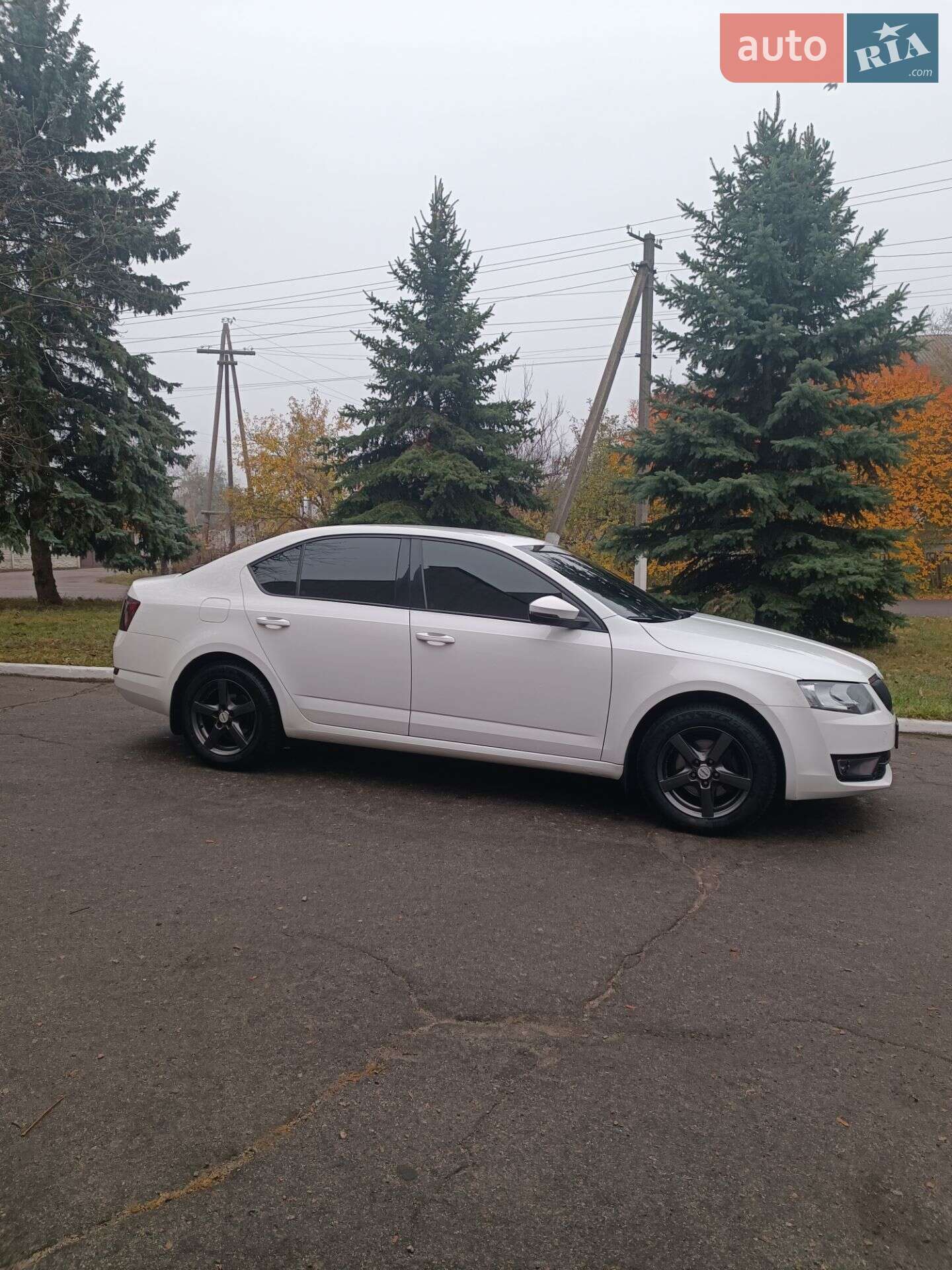 Skoda Octavia 2013 VIN TMBAC2NE1EB007949 фото оголошення 7 з 22