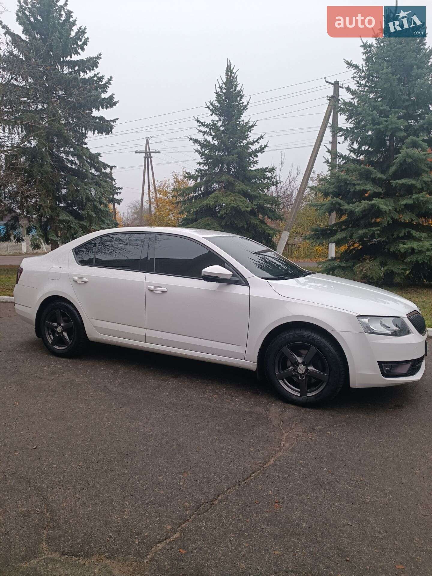 Skoda Octavia 2013 VIN TMBAC2NE1EB007949 фото оголошення 9 з 22
