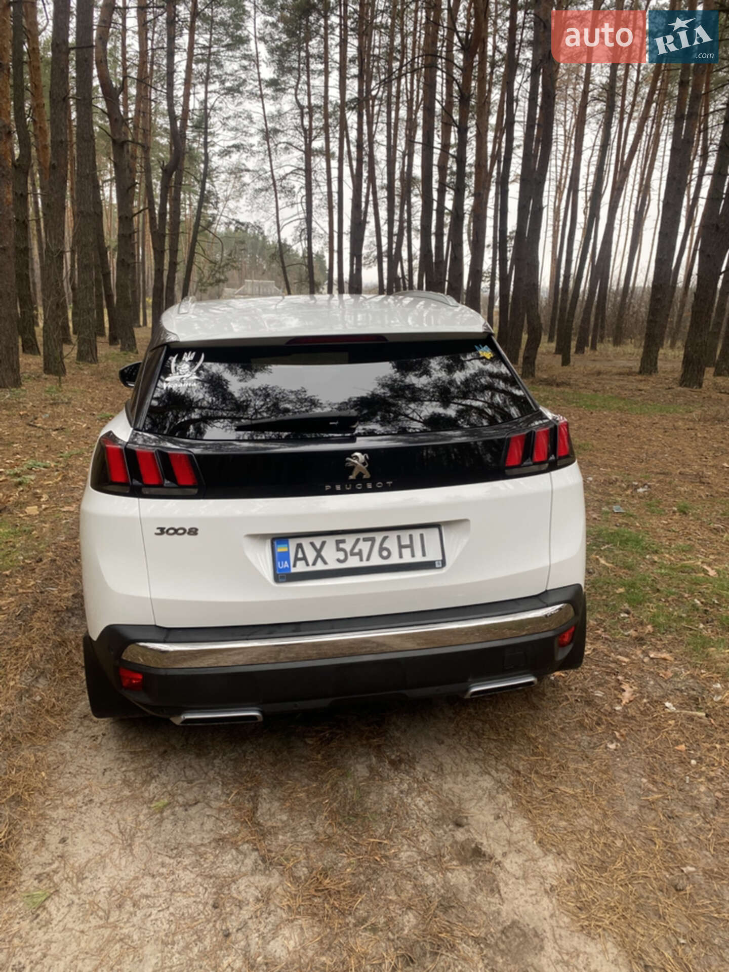 Peugeot 3008 2017 VIN VF3MJAHXVHS110642 фото оголошення 10 з 10