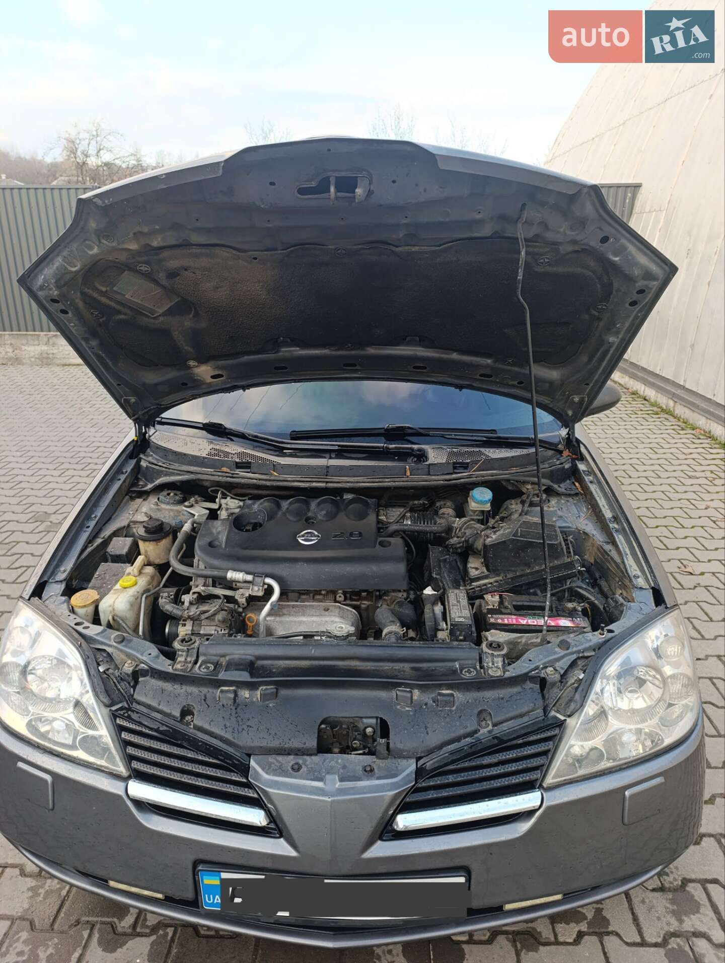 Nissan Primera 2003 VIN SJNBCAP12U0119813 фото оголошення 18 з 18