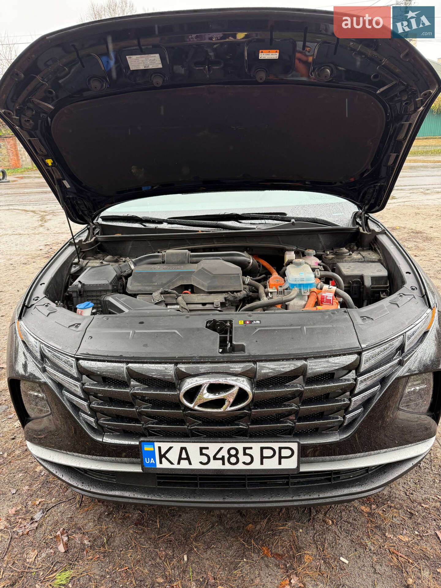 Hyundai Tucson 2023 VIN KM8JBDA25PU134510 фото оголошення 2 з 15