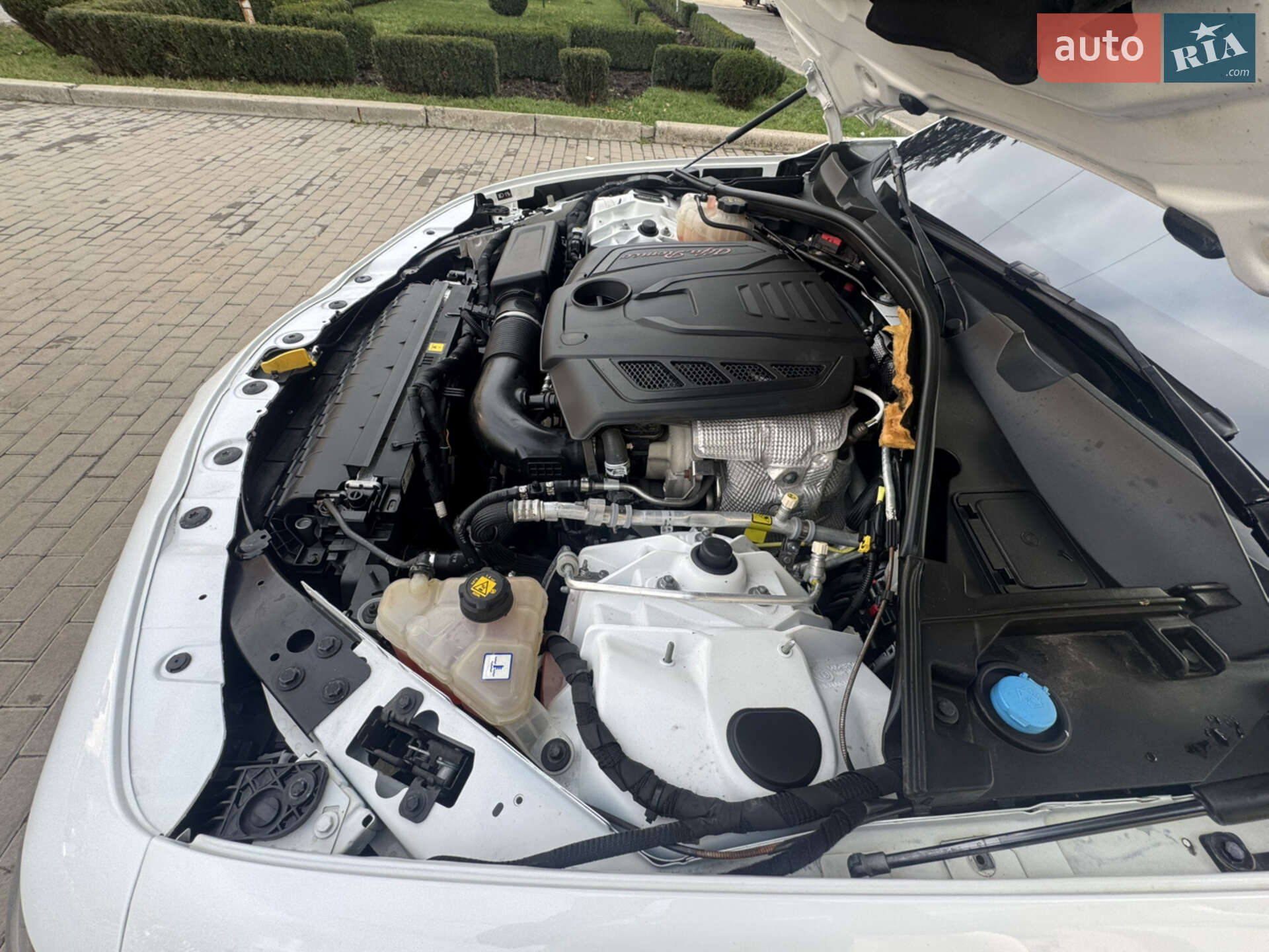Alfa Romeo Giulia 2020 VIN ZARFAMAN3K7609494 фото оголошення 39 з 65