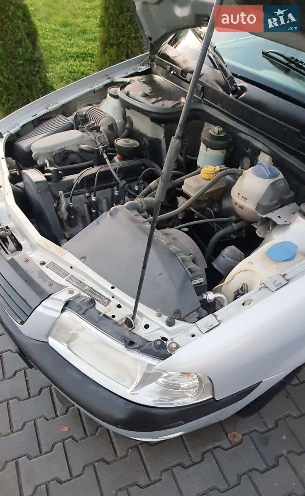 Volkswagen Pointer 2006 VIN 9BWCC45X76T043930 фото оголошення 5 з 5