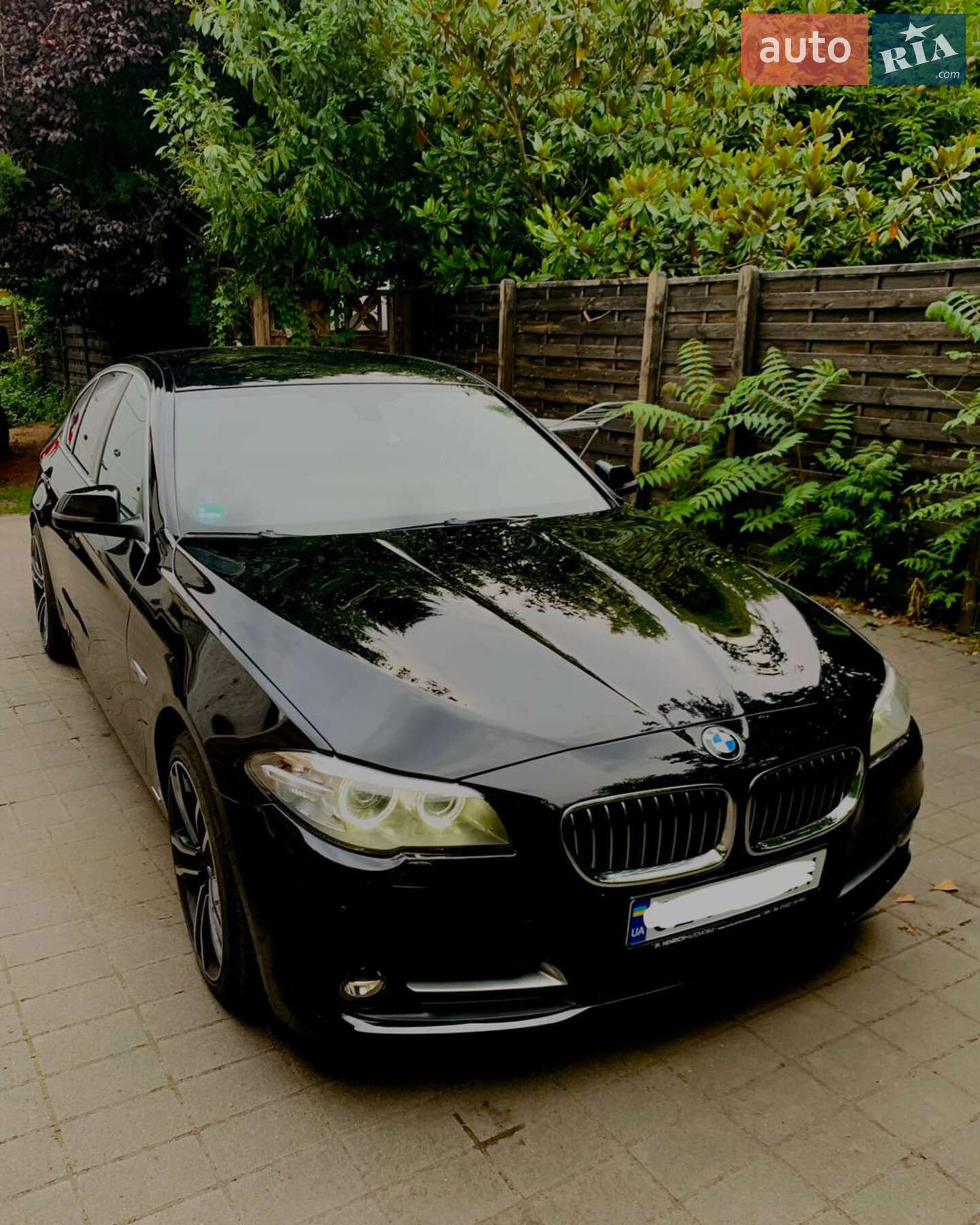 BMW 5 Series 2013 VIN WBA5D31020D059843 фото оголошення 3 з 13