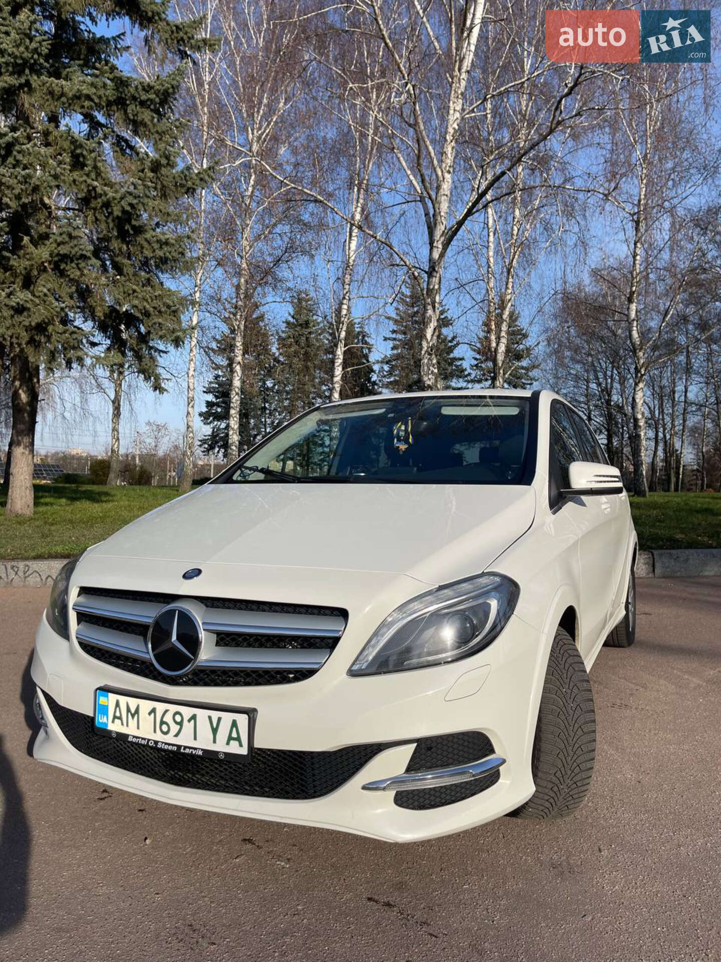 Mercedes-Benz B-Class 2016 VIN WDD2428901J012396 фото оголошення 11 з 11