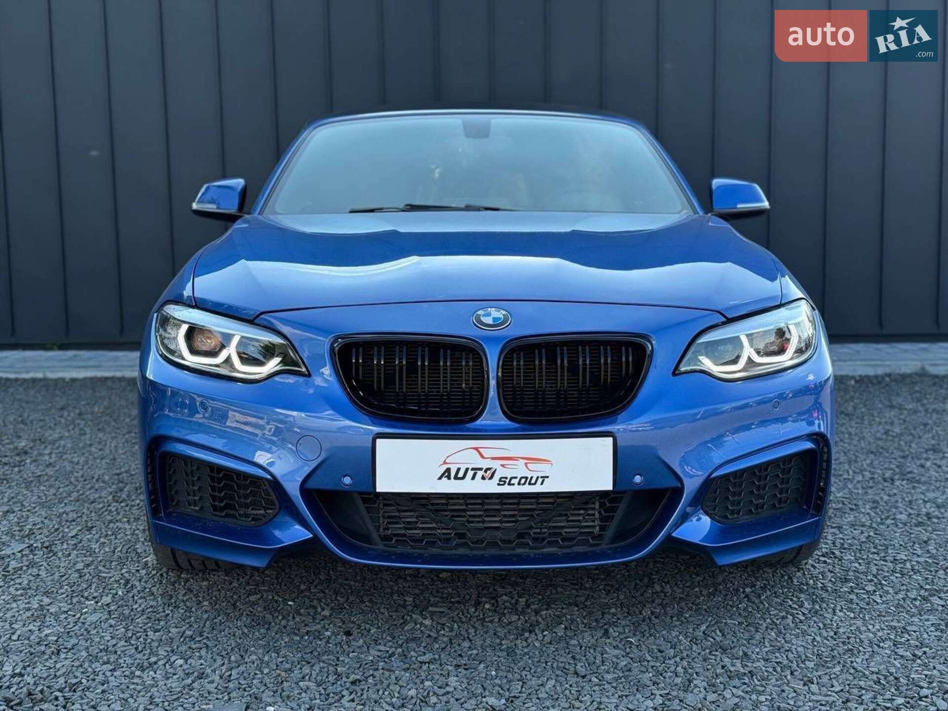 BMW 2 Series 2016 VIN WBA1K9C56GV321822 фото оголошення 9 з 29