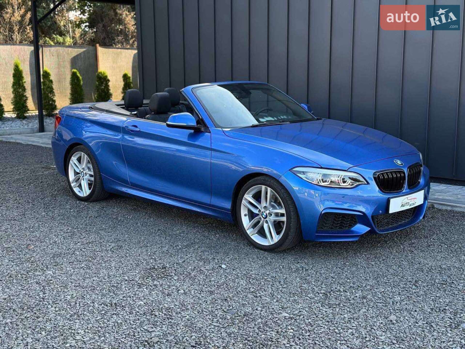 BMW 2 Series 2016 VIN WBA1K9C56GV321822 фото оголошення 4 з 29