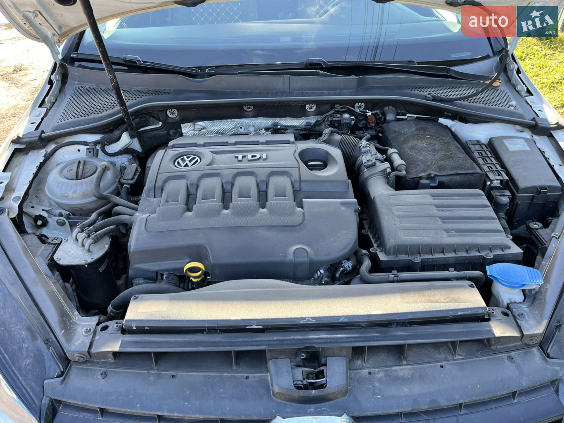 Volkswagen Golf 2016 VIN WVWZZZAUZGP625797 фото оголошення 51 з 73