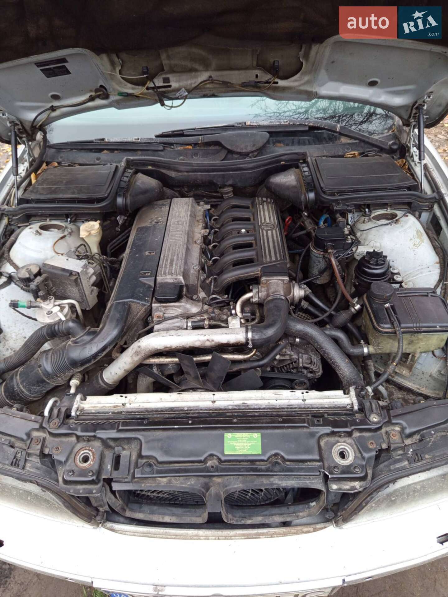 BMW 5 Series 1997 VIN WBADG71090BW81684 фото оголошення 7 з 7