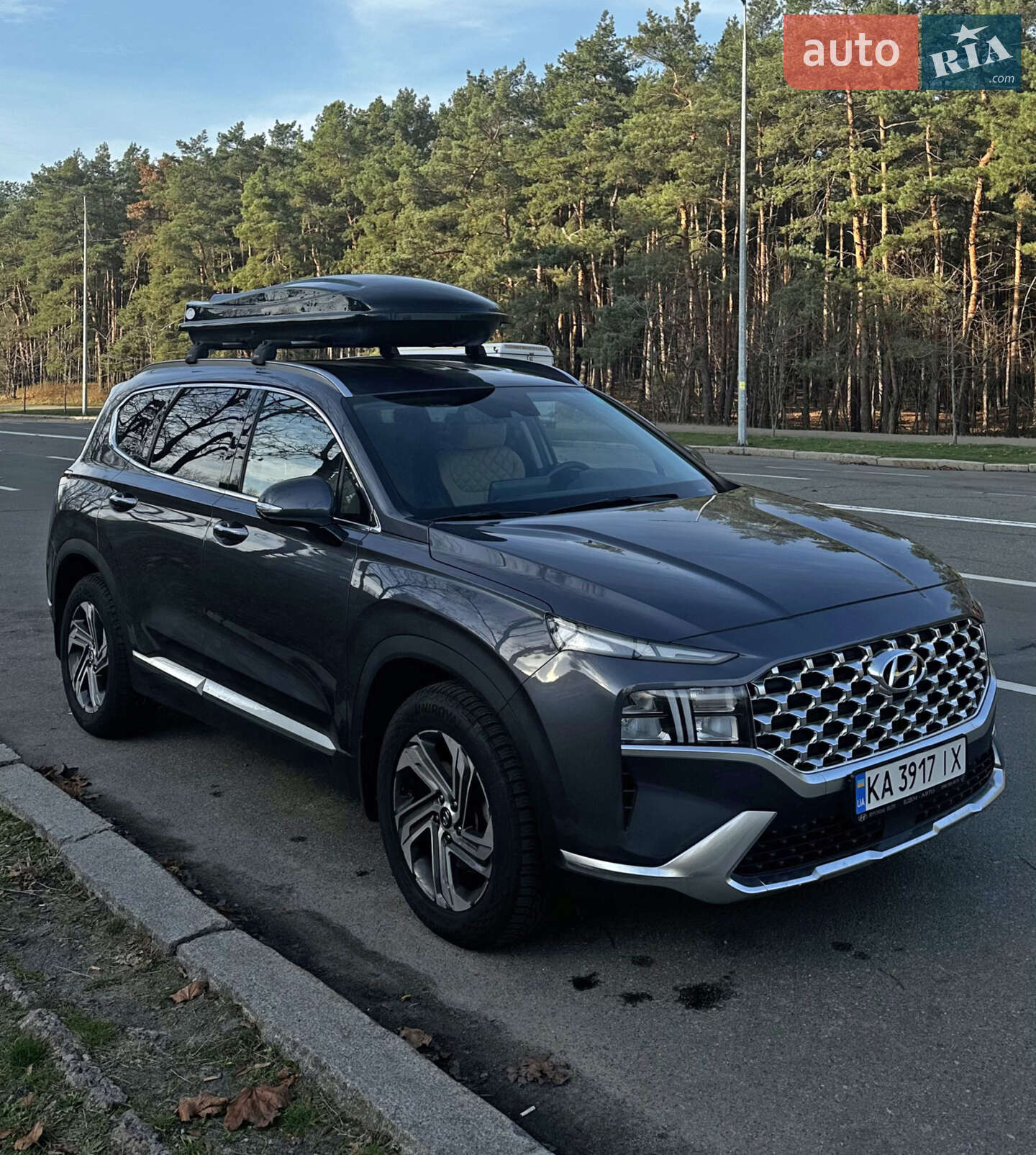 Hyundai Santa FE 2022 VIN KMHS381HHNU448197 фото оголошення 25 з 29
