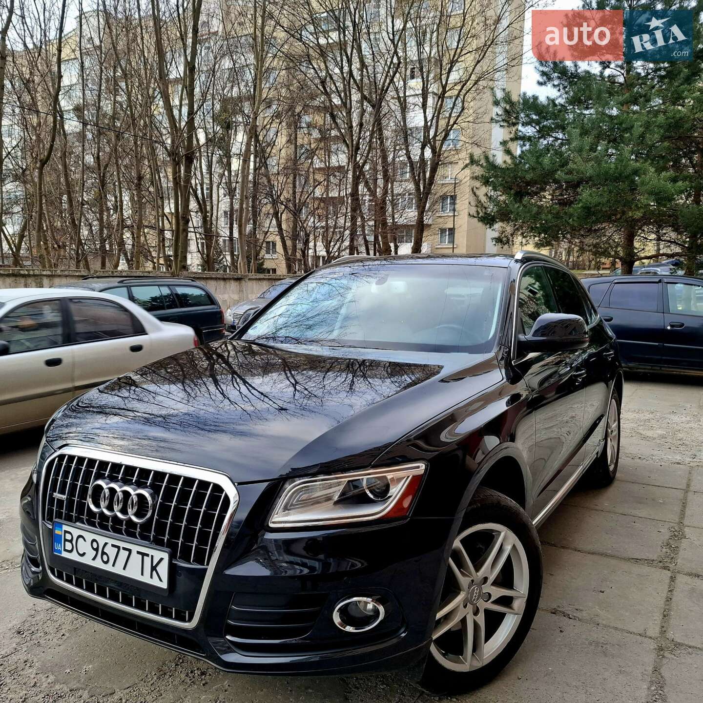 Audi Q5 2013 VIN WA1LFAFP6DA096460 фото оголошення 7 з 15