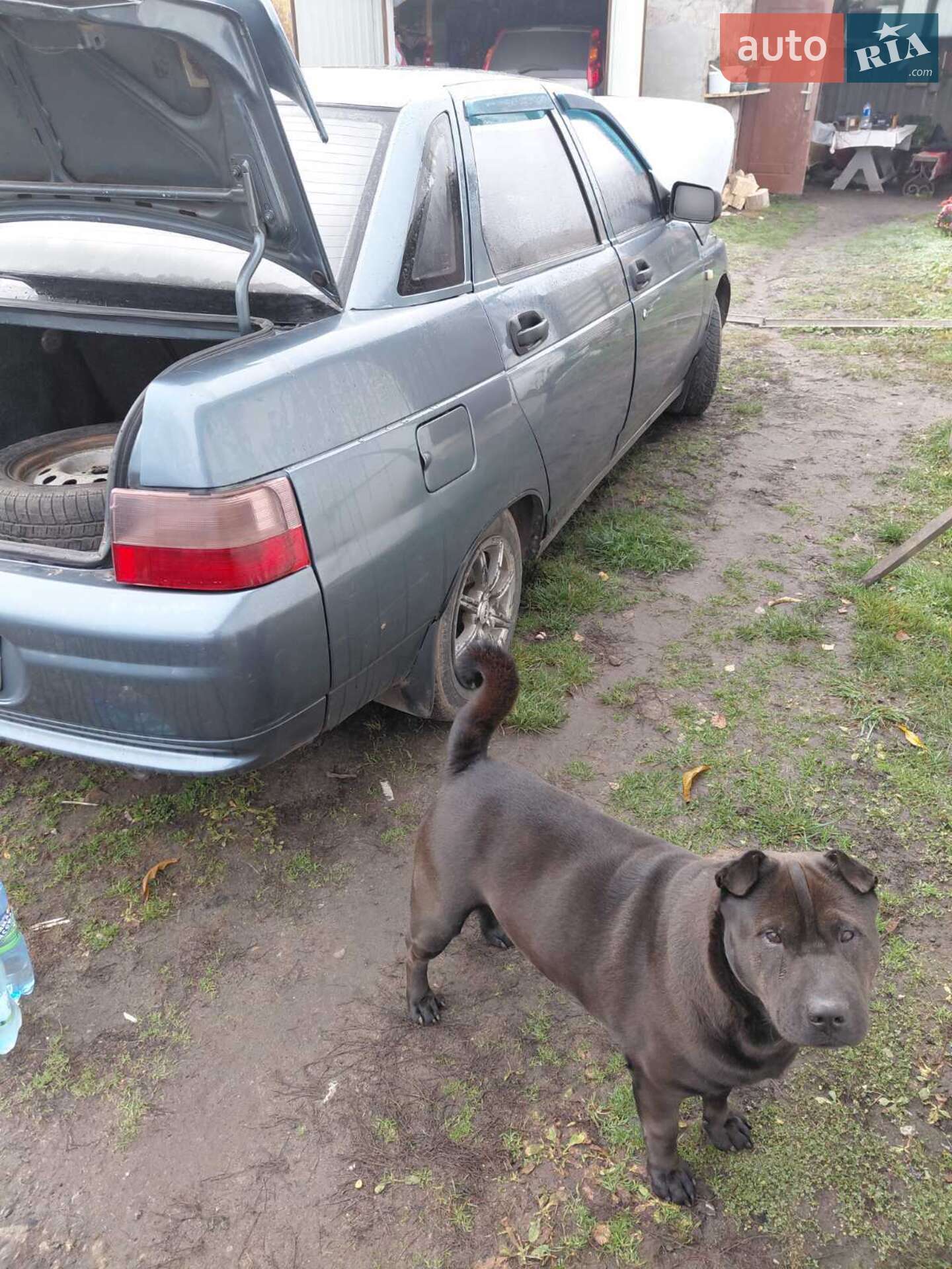 ВАЗ / Lada 2110 2001 VIN XTA21103020402360 фото оголошення 10 з 10
