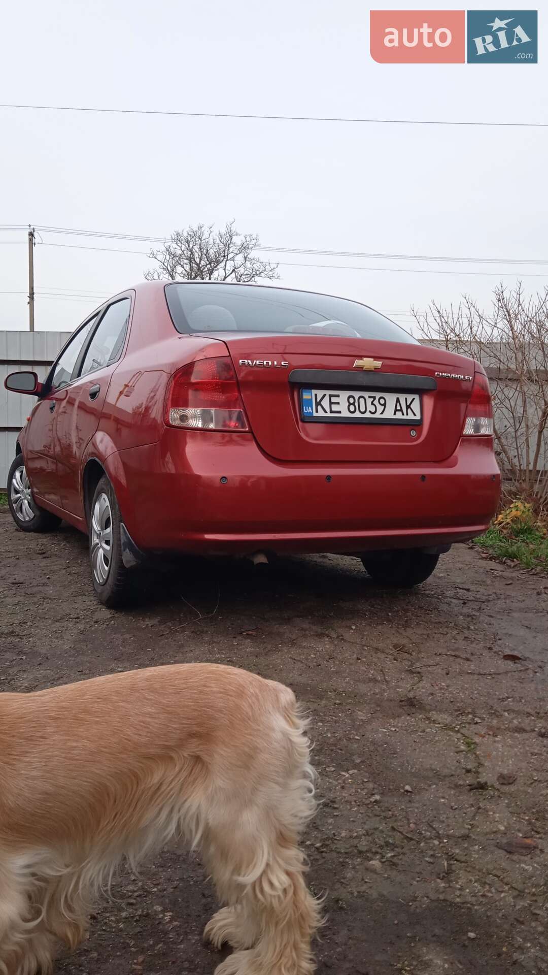 Chevrolet Aveo 2005 VIN Y6DSF69YE5B358500 фото оголошення 2 з 10