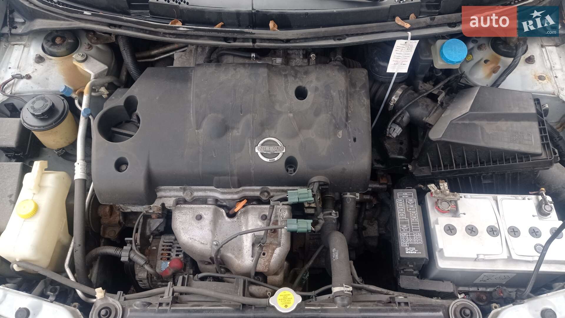 Nissan Primera 2002 VIN SJNBBAP12U0036651 фото оголошення 8 з 9