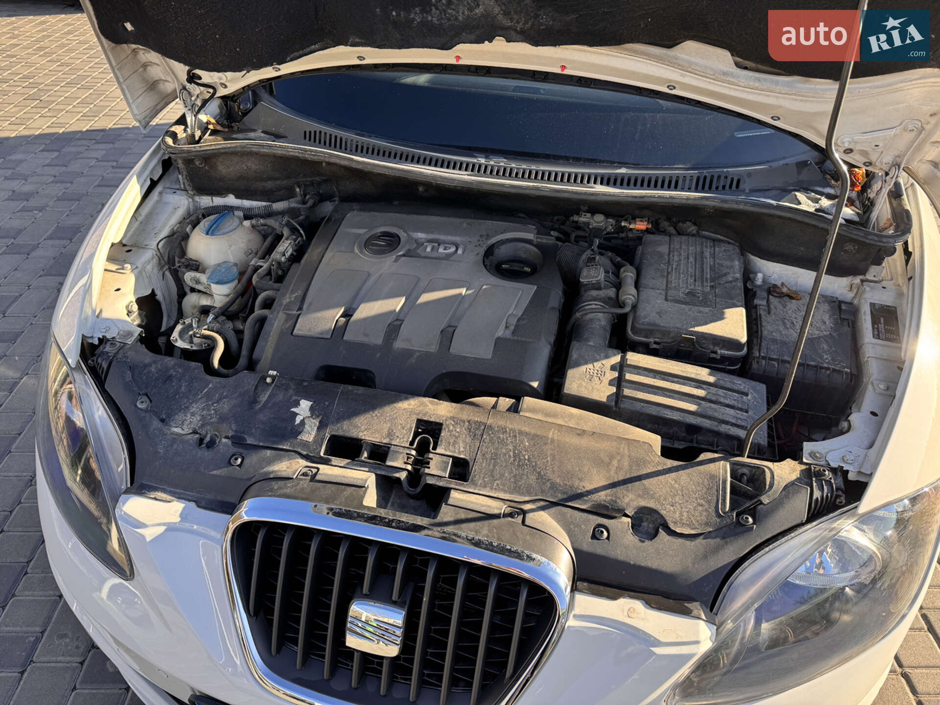 SEAT Altea 2015 VIN VSSZZZ5PZFR018563 фото оголошення 22 з 33