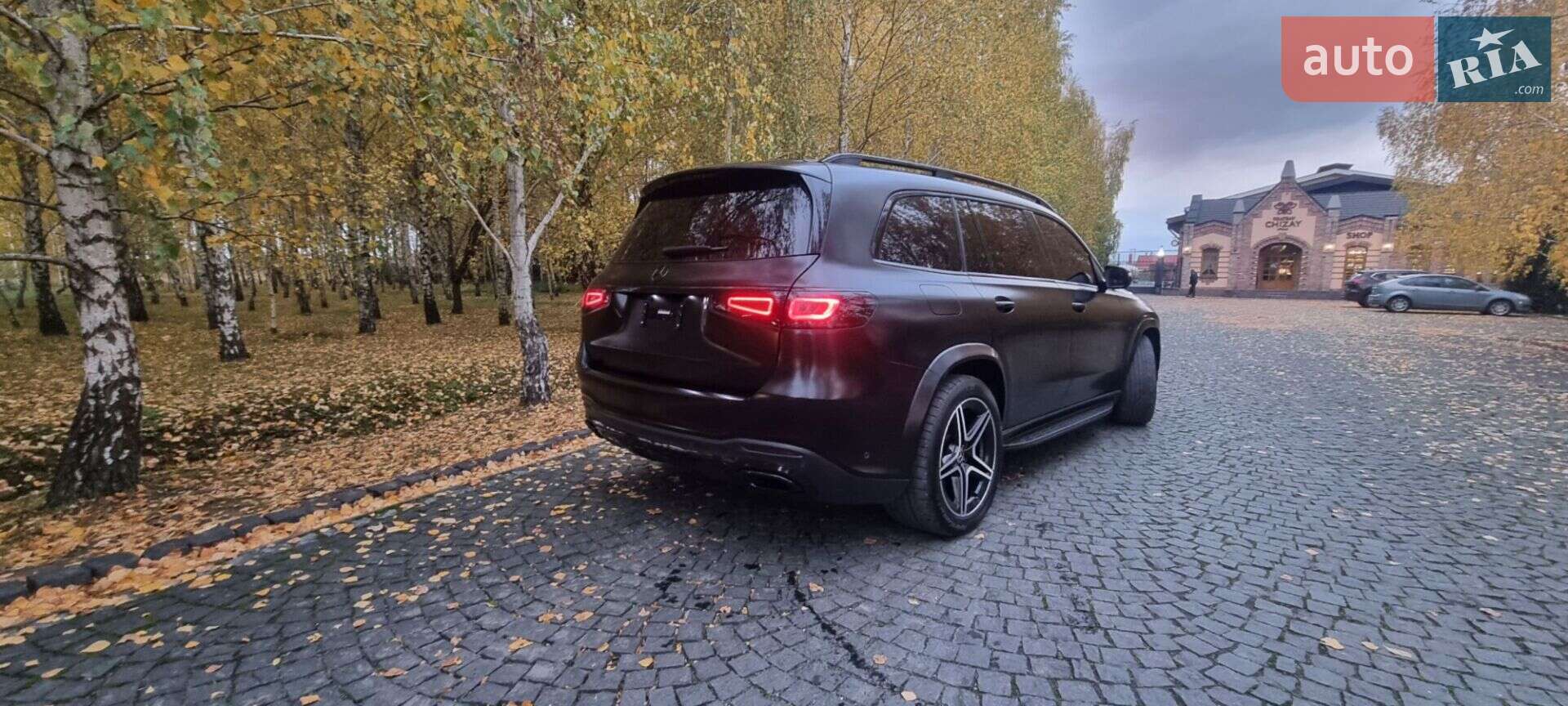 Mercedes-Benz GLS-Class 2019 VIN WDC1679211A091867 фото оголошення 9 з 33