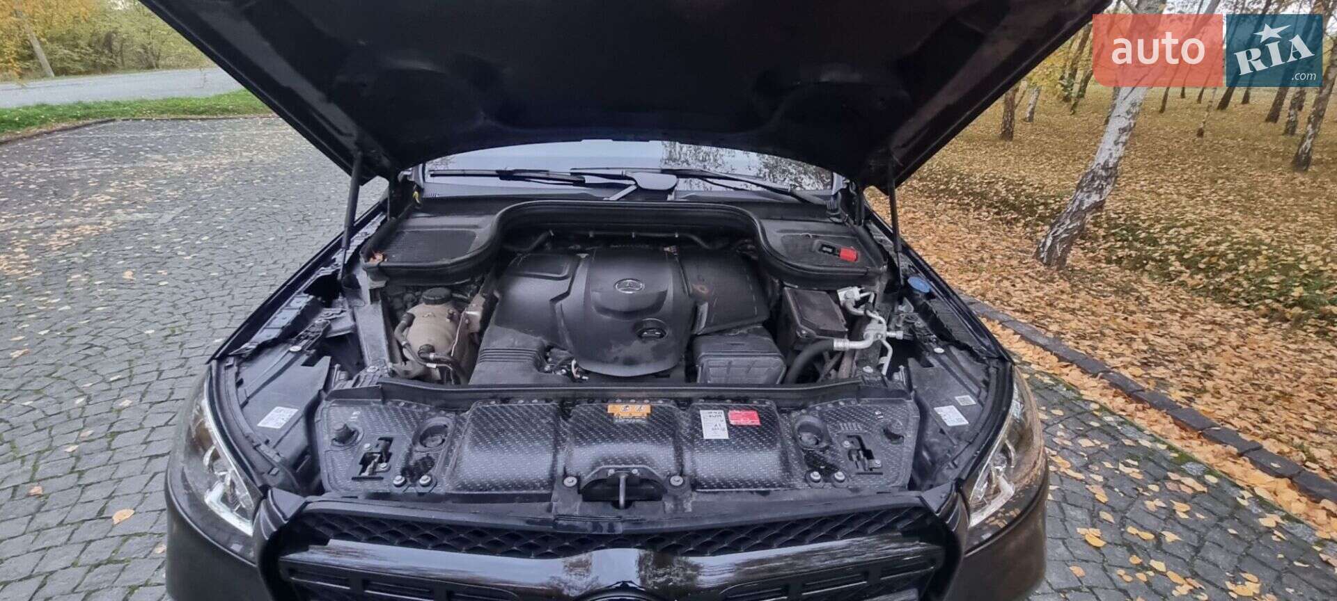 Mercedes-Benz GLS-Class 2019 VIN WDC1679211A091867 фото оголошення 23 з 23